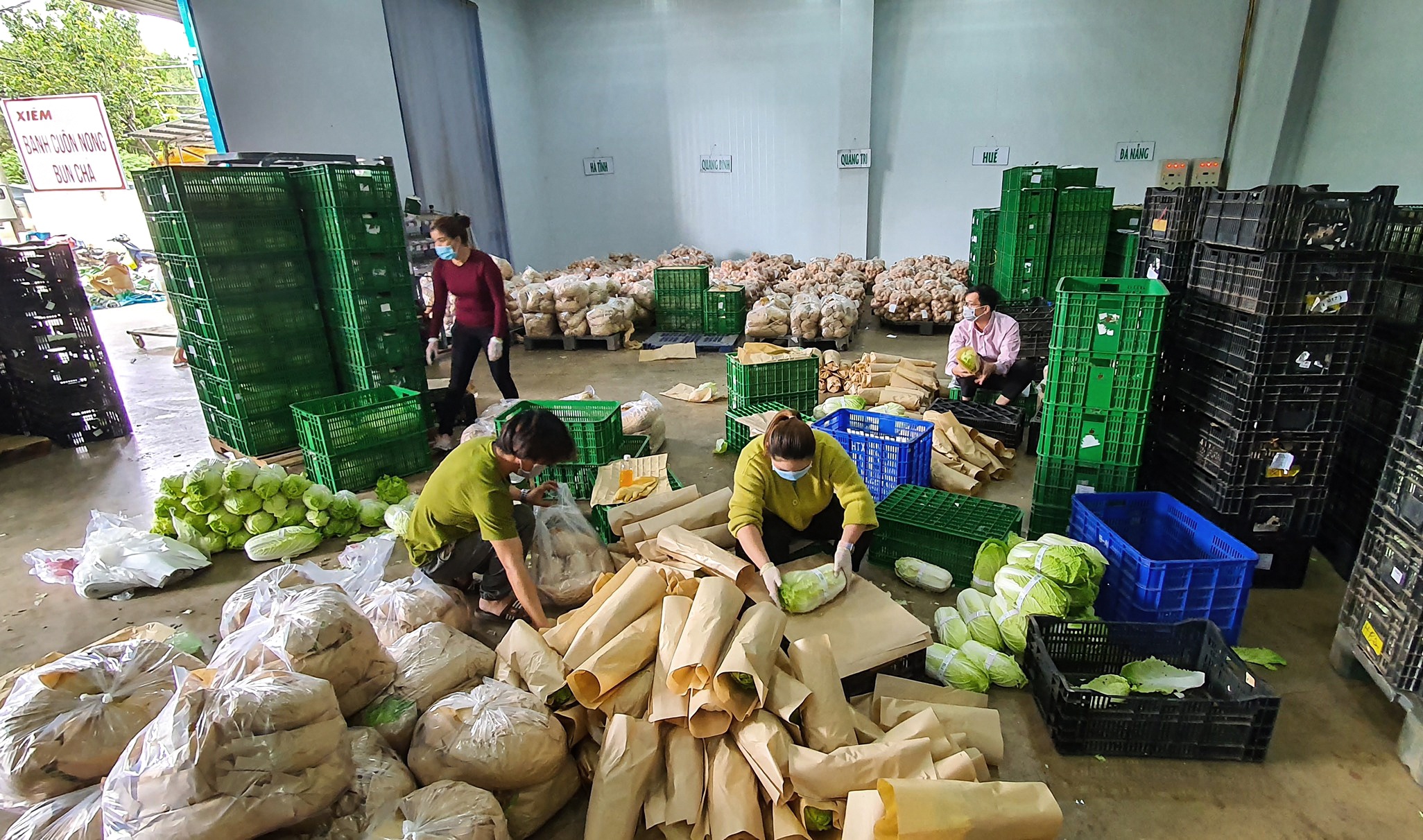 Rau Da Lat rot gia manh anh 2