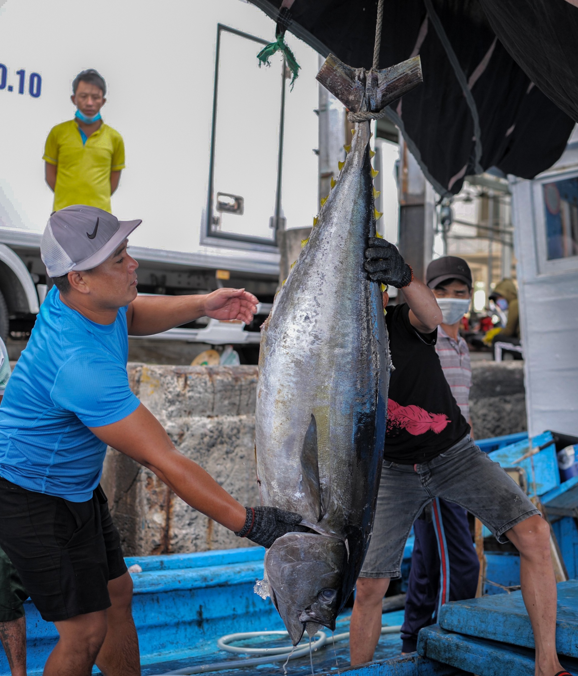 ngu dan trung dam ca ngu anh 2