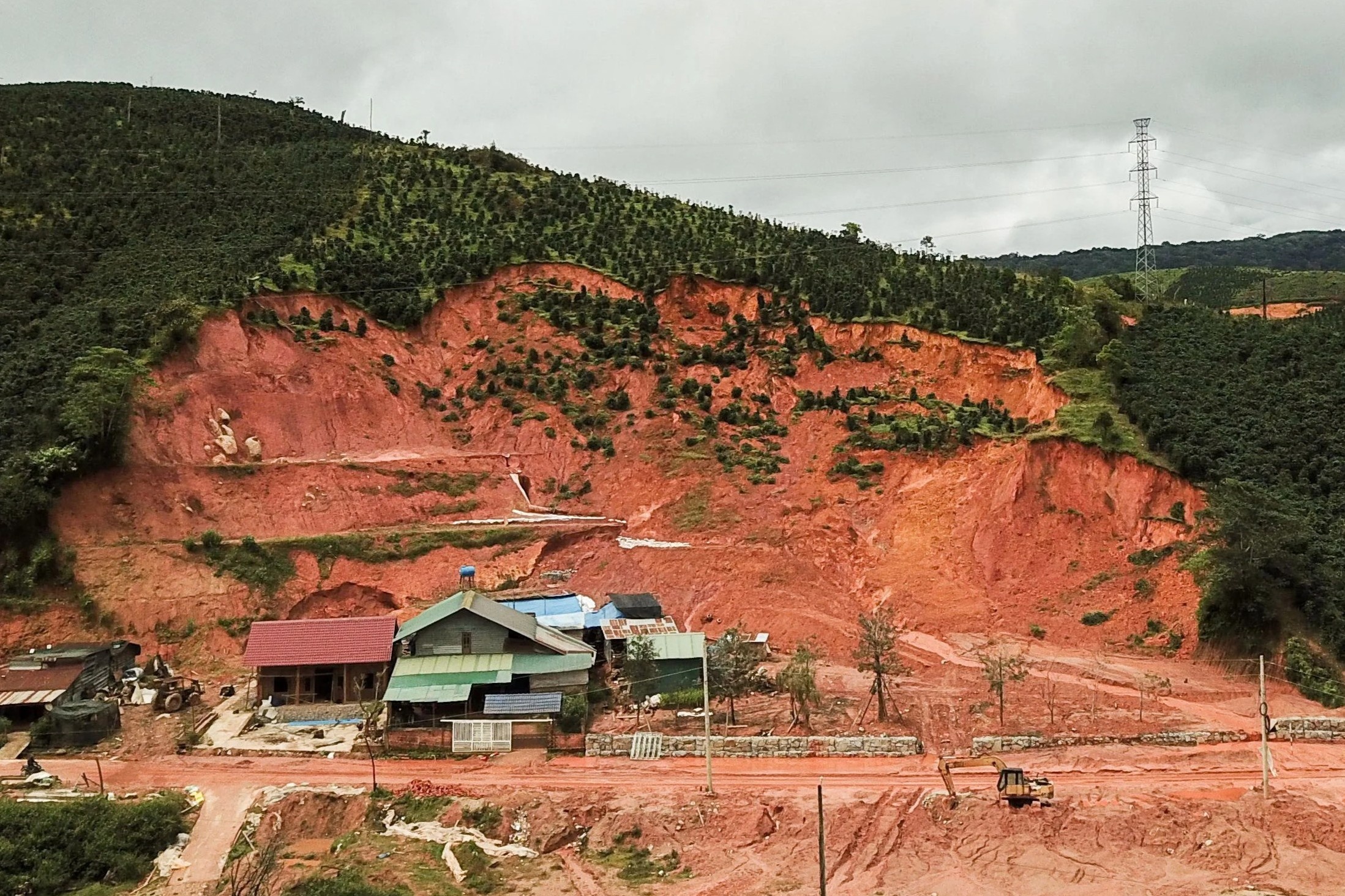 Doanh nghiep tu y san ui dat rung o Vuon quoc gia Bidoup - Nui Ba hinh anh