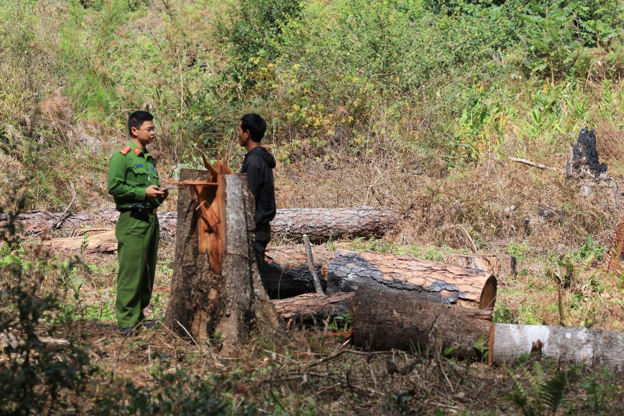 De mat rung, mot chu tich xa bi tam dinh chi cong tac hinh anh