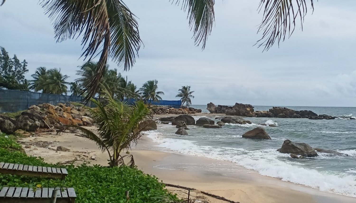 ngung don khac Nga sang Viet Nam anh 2