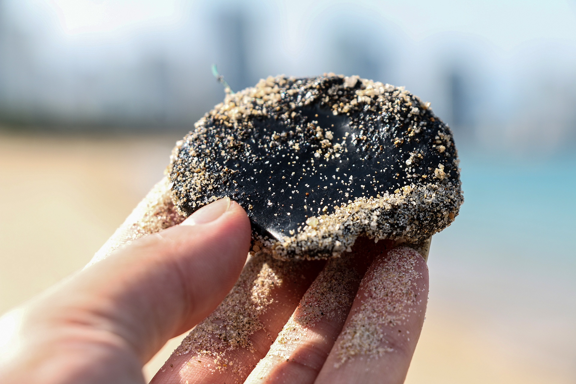 dau tran len bai bien Nha Trang anh 3