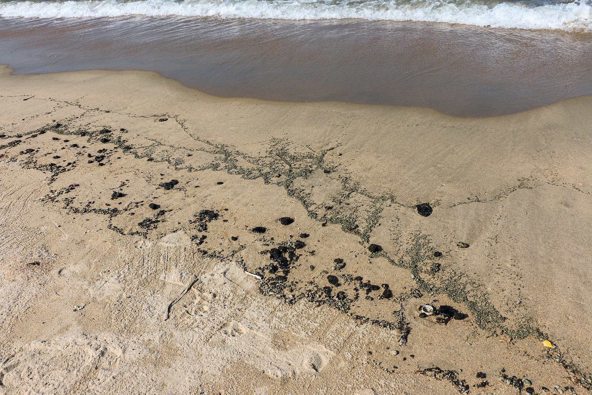 dau tran len bai bien Nha Trang anh 2