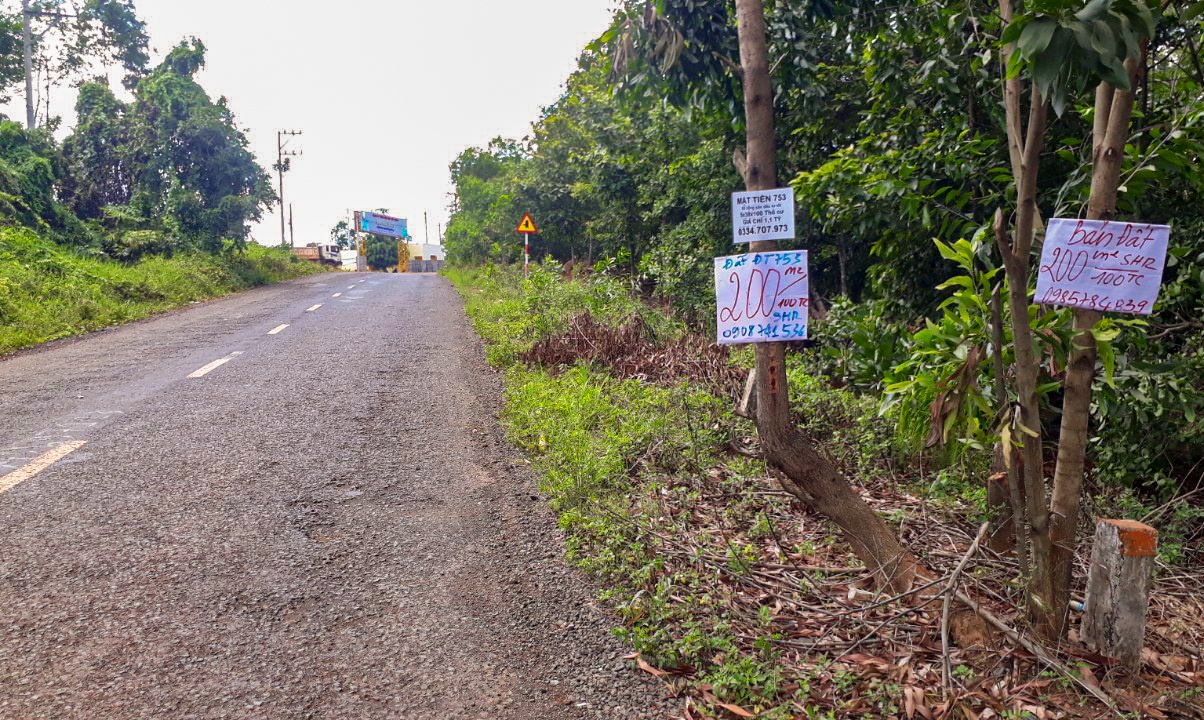 sot dat o Binh Phuoc anh 2