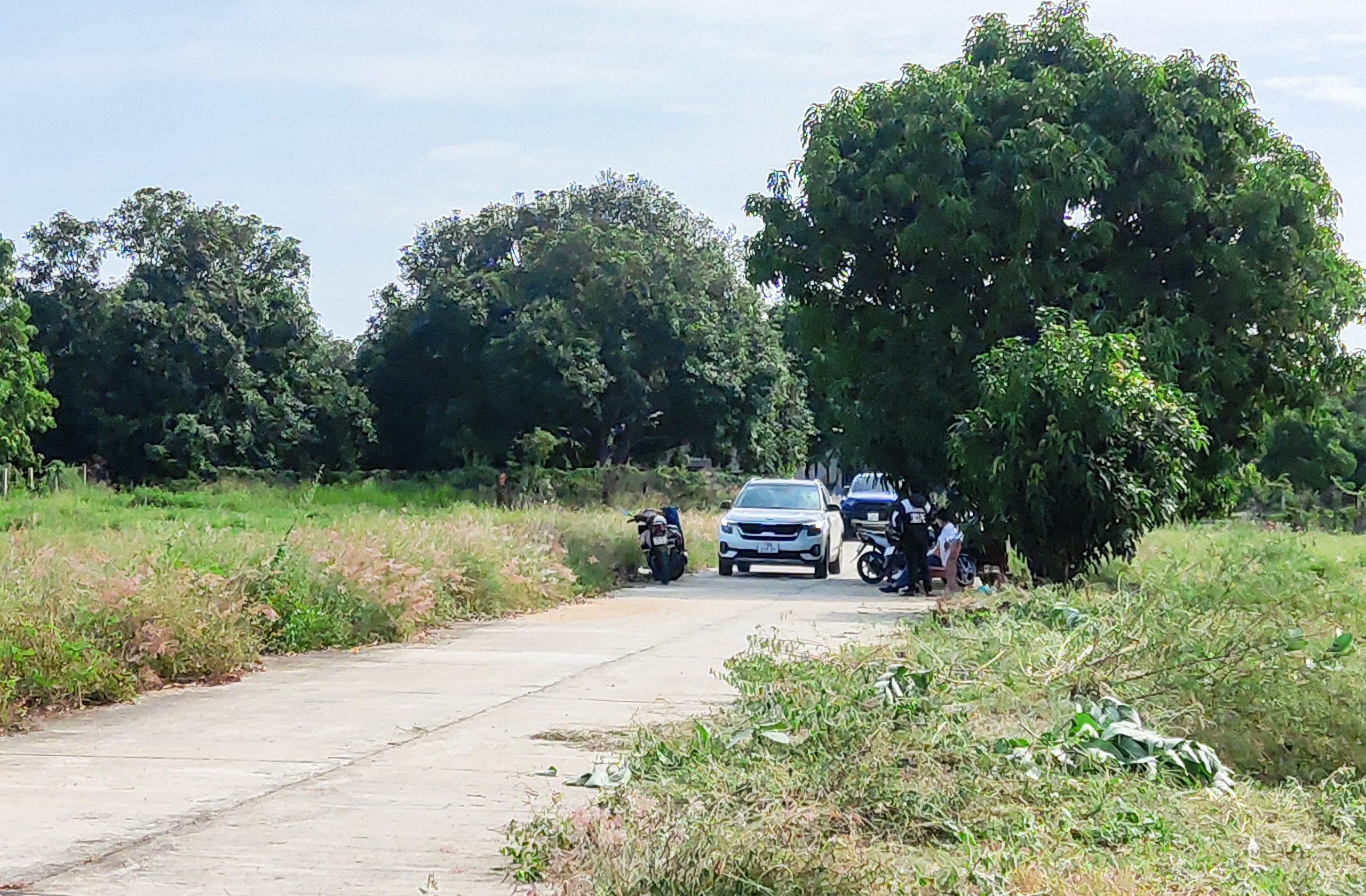 Chuyen gia: 'Danh thue bat dong san chi la giai phap ngan han' hinh anh