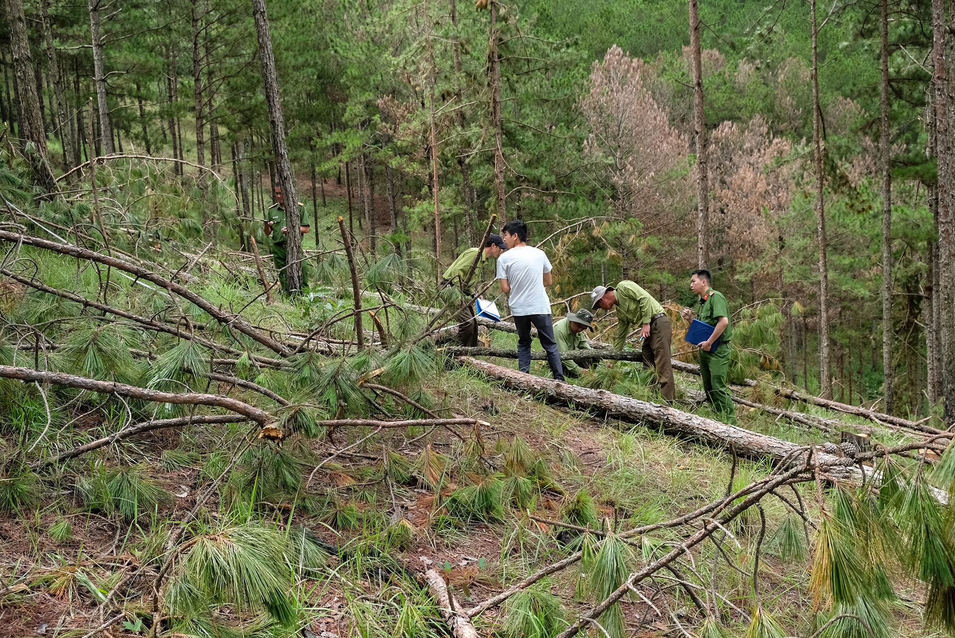 thong Da Lat bi chat ha anh 10