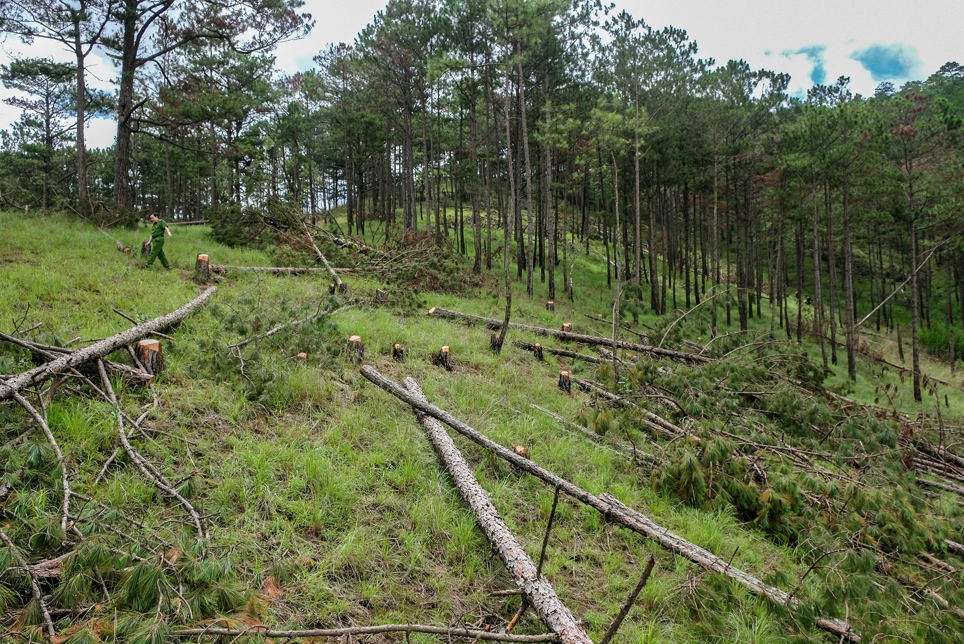 thong Da Lat bi chat ha anh 1