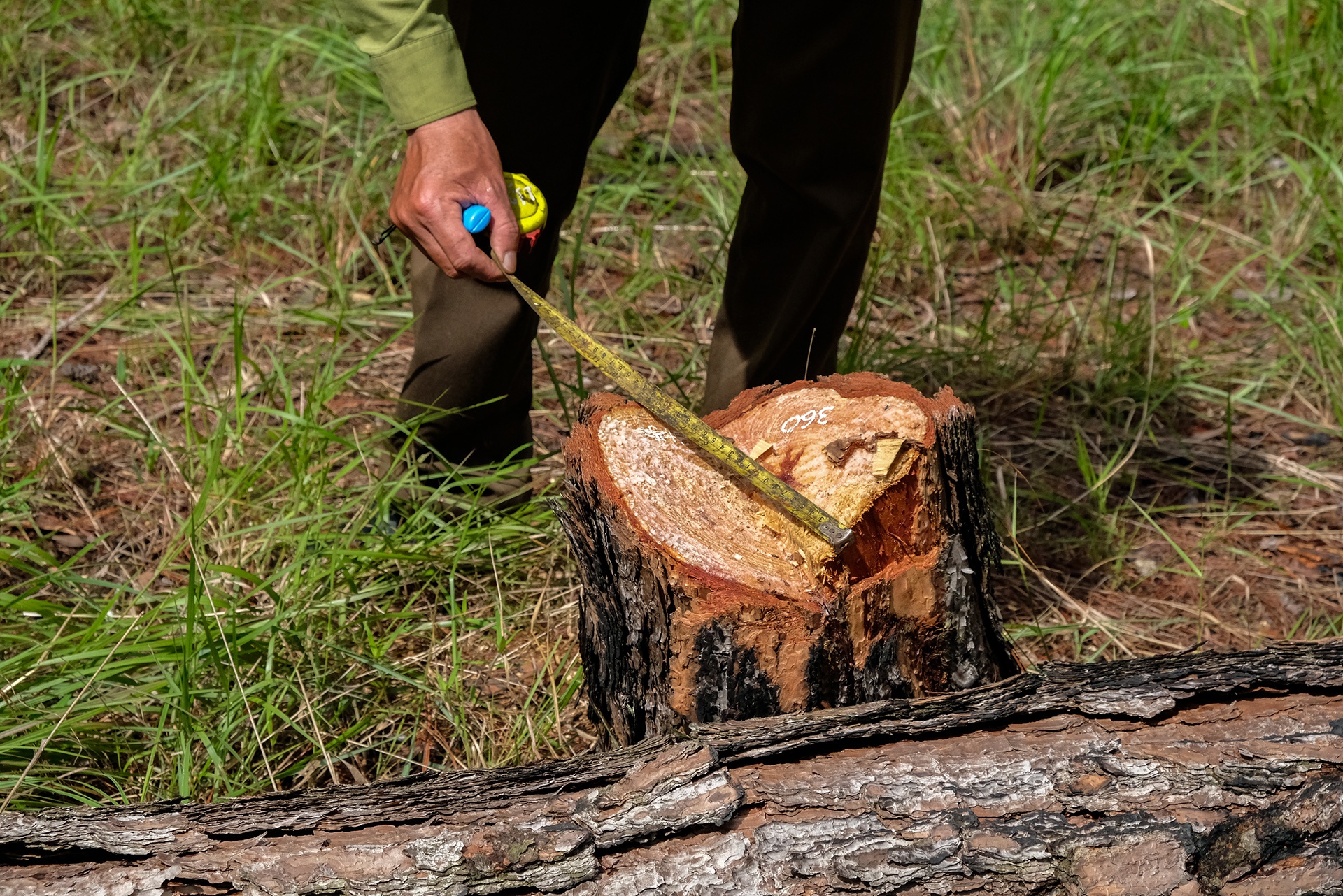 thong Da Lat bi chat ha anh 4