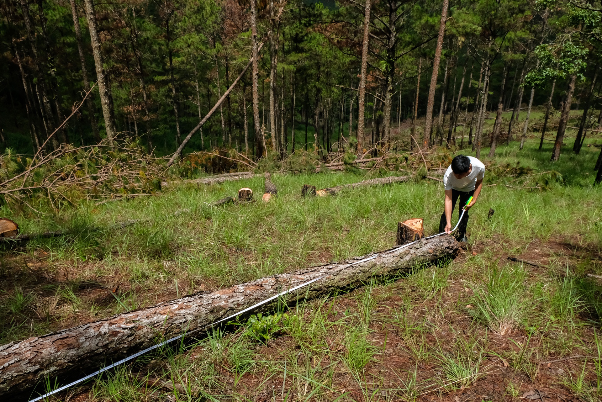 thong Da Lat bi chat ha anh 5