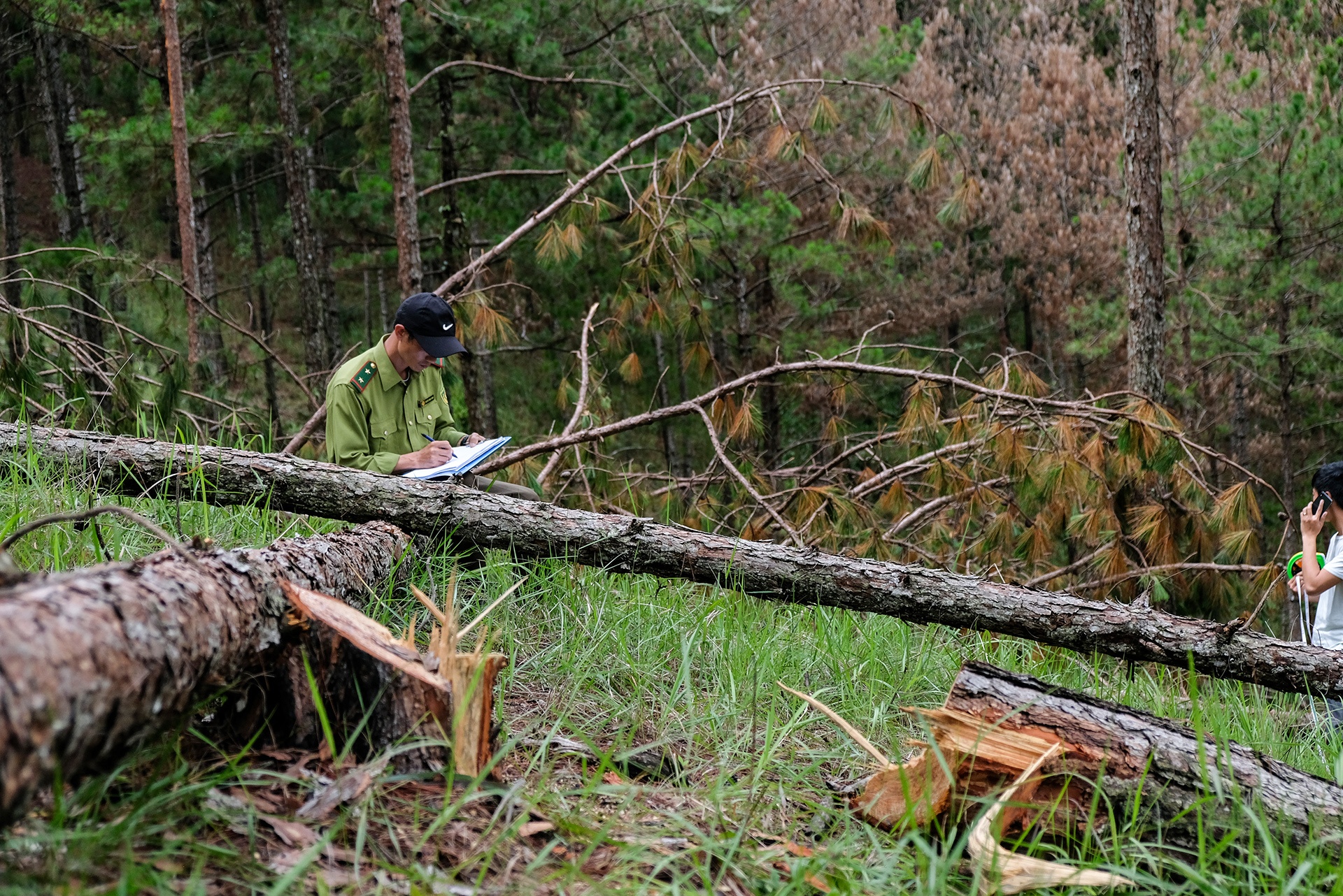 thong Da Lat bi chat ha anh 6