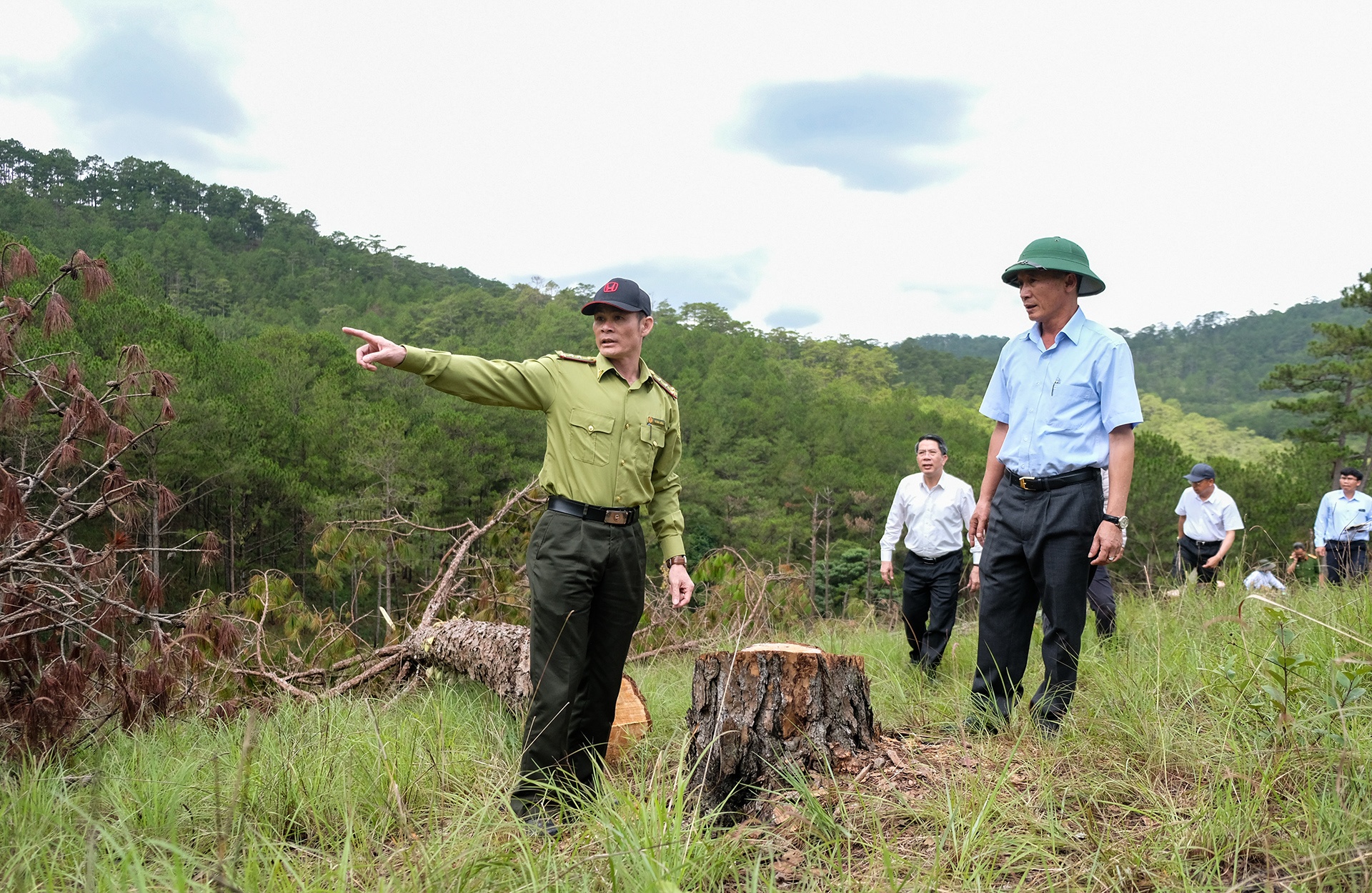 thong Da Lat bi chat ha anh 9