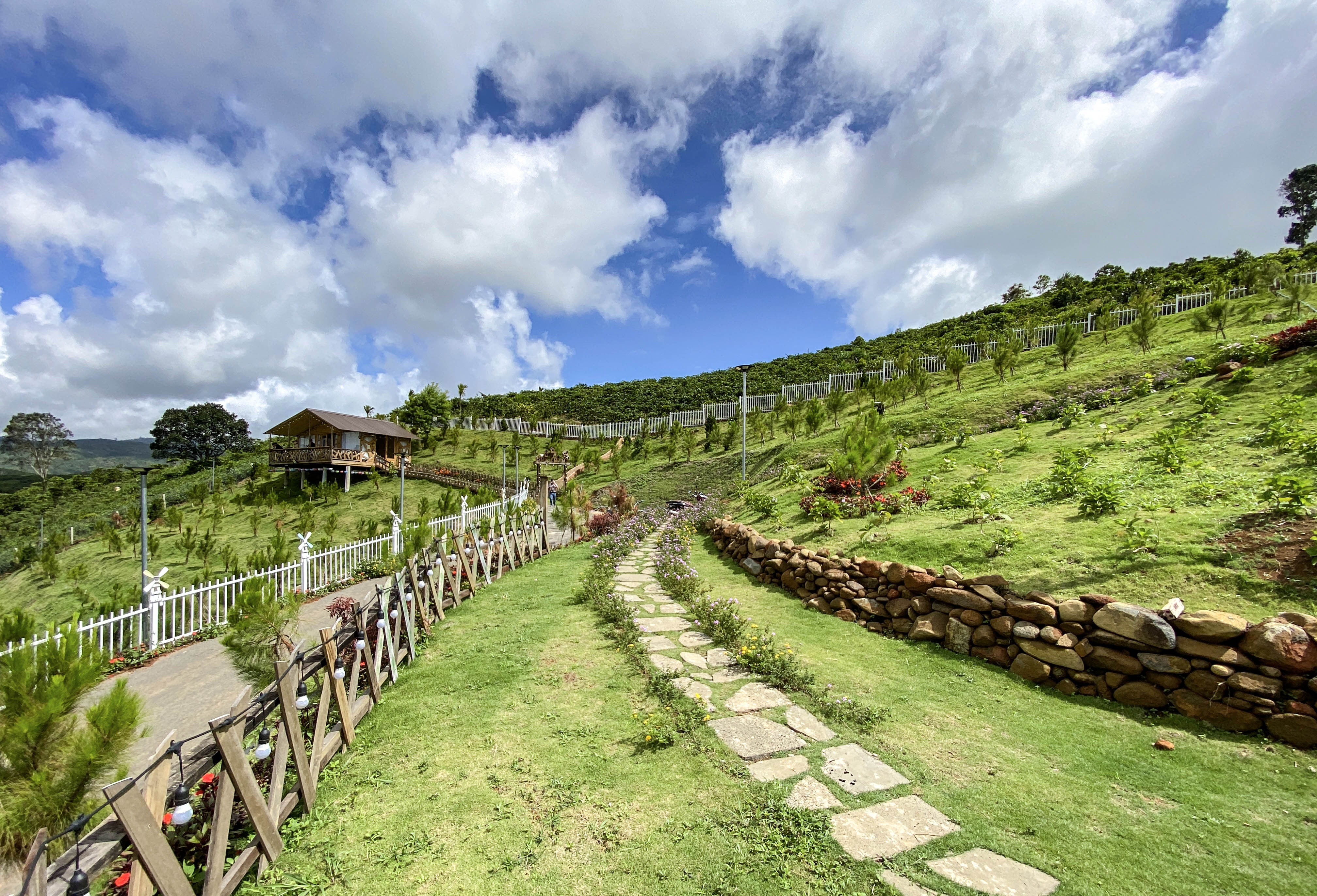 Xu phat chu khu dat ma Ngoc Trinh 'khoe' da mua hinh anh