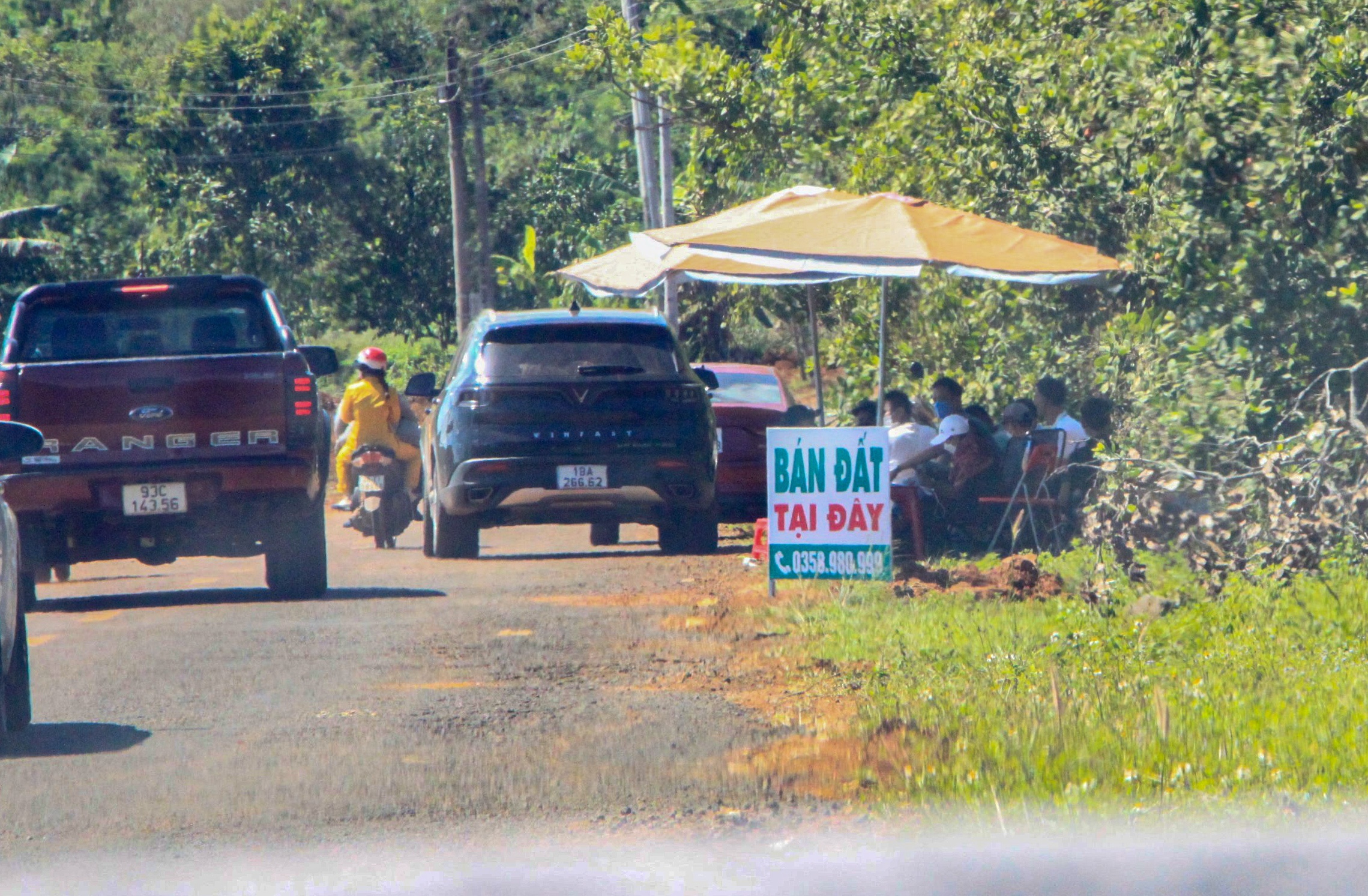 Khanh Hoa 'tri' nan phan lo ban nen hinh anh