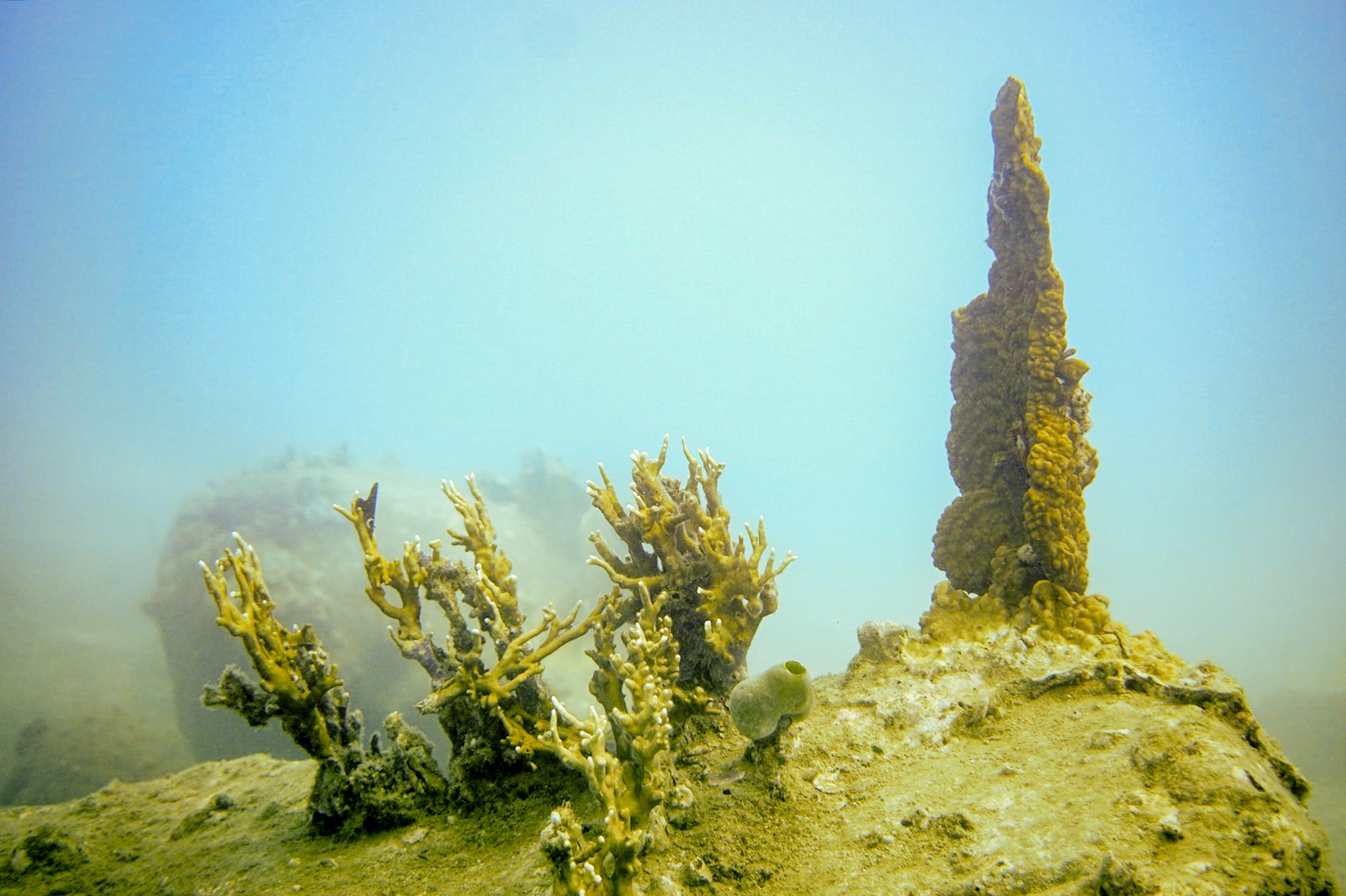 San ho o Nha Trang bi 'tay trang' la van de nghiem trong hinh anh