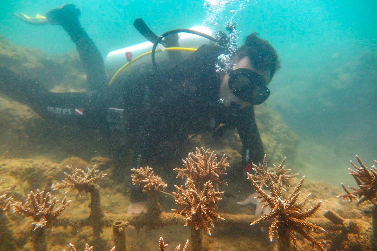 san ho o vinh Nha Trang bi huy hoai anh 2