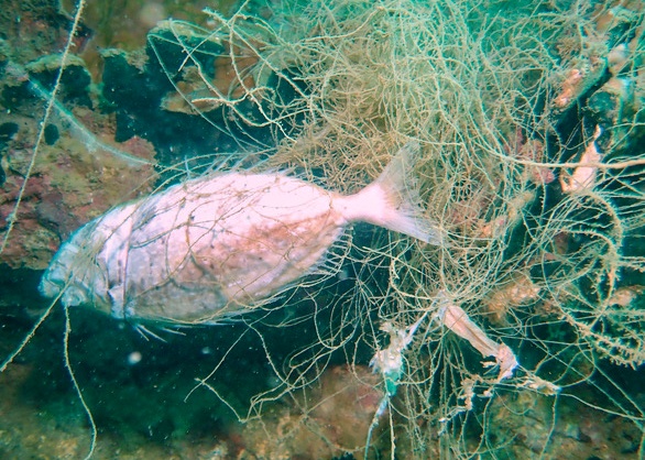 vinh Nha Trang anh 1