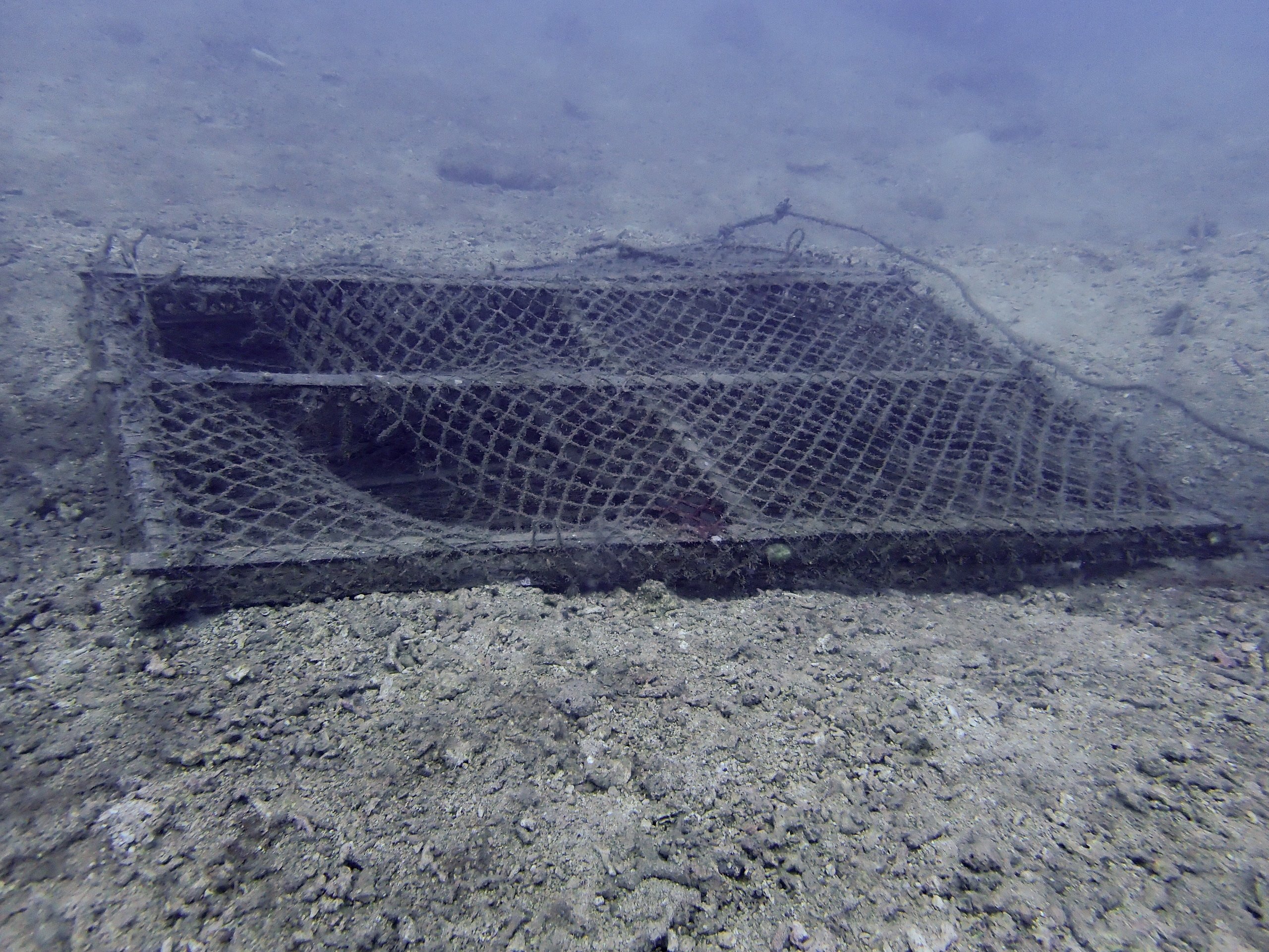 vinh Nha Trang anh 4