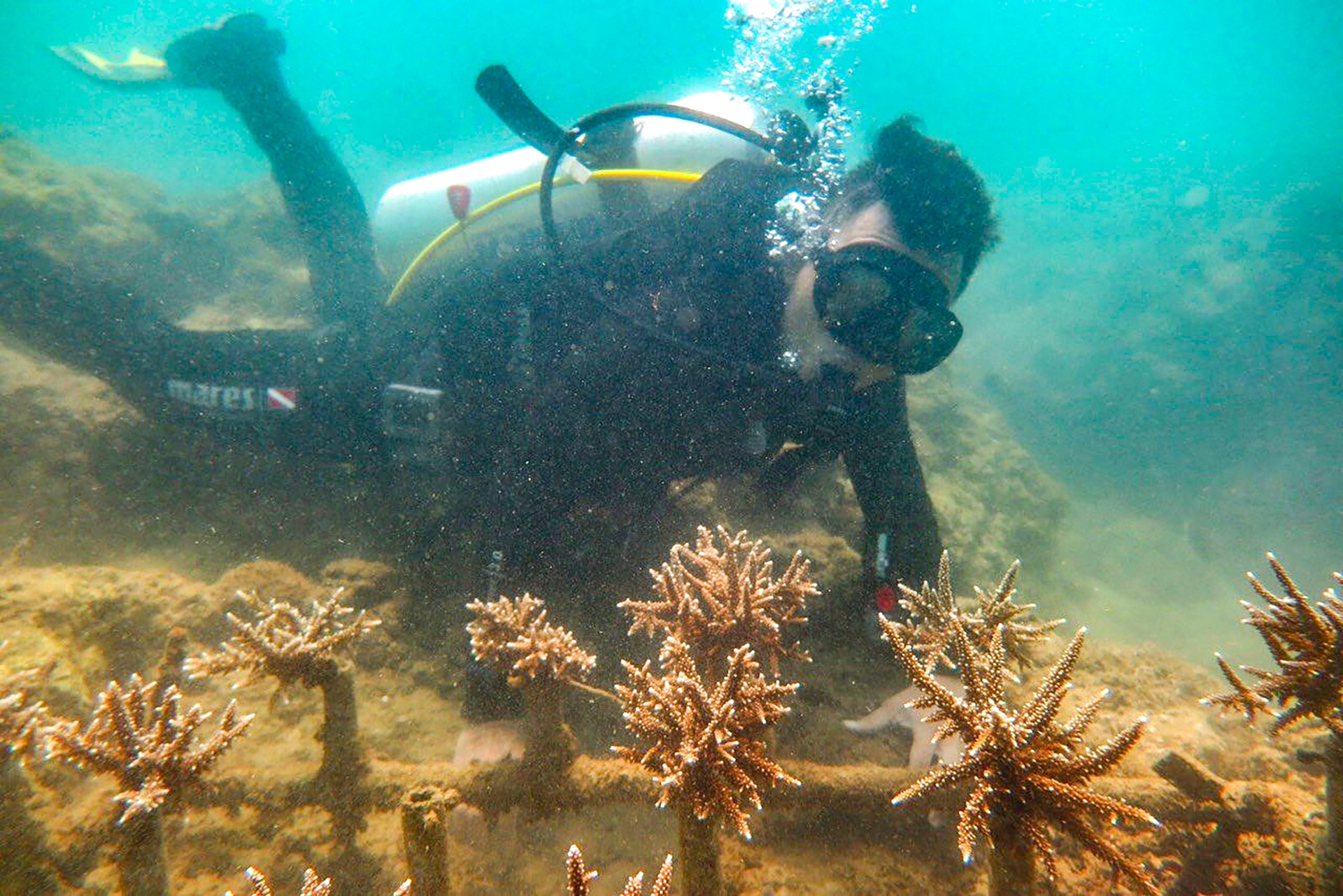 tai tao san ho tren vinh Nha Trang anh 7