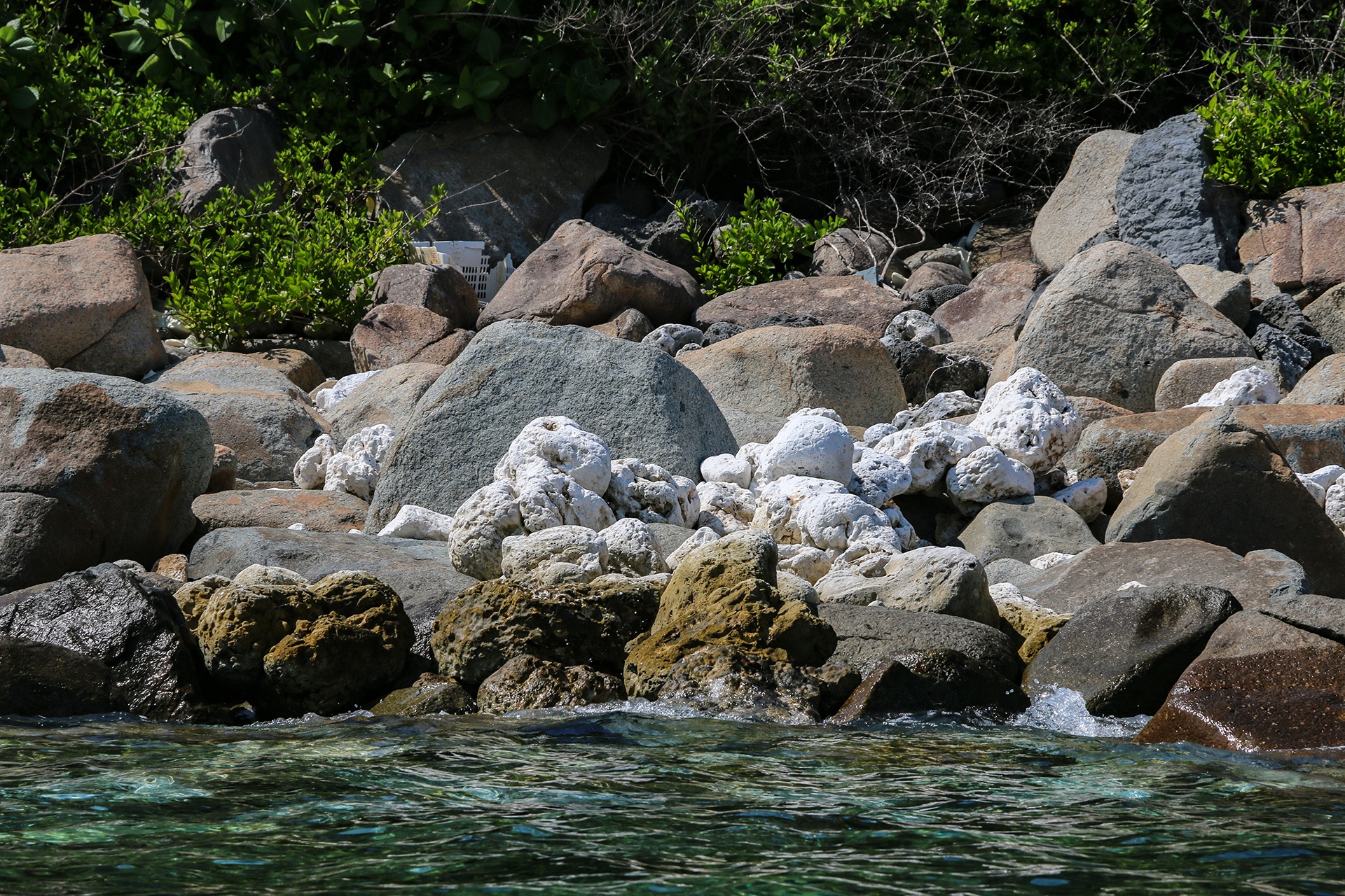 San ho khu bao ton bi tay trang anh 12