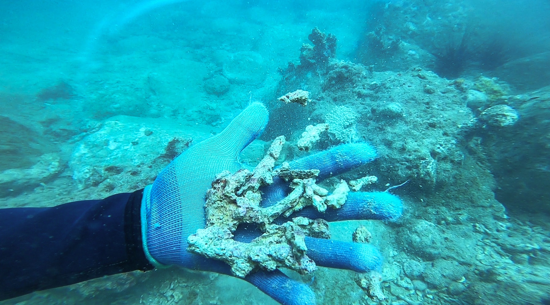 San ho khu bao ton bi tay trang anh 4