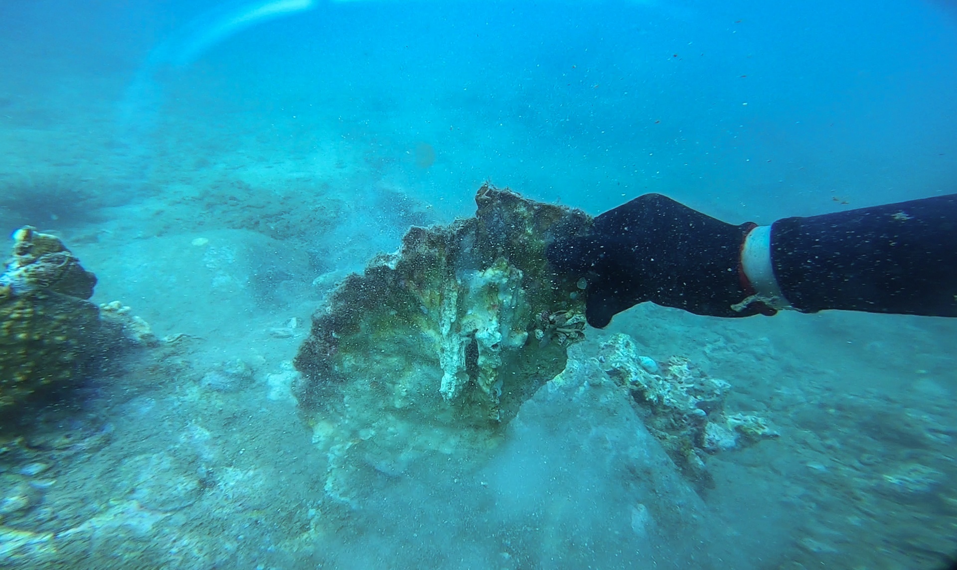 San ho khu bao ton bi tay trang anh 8