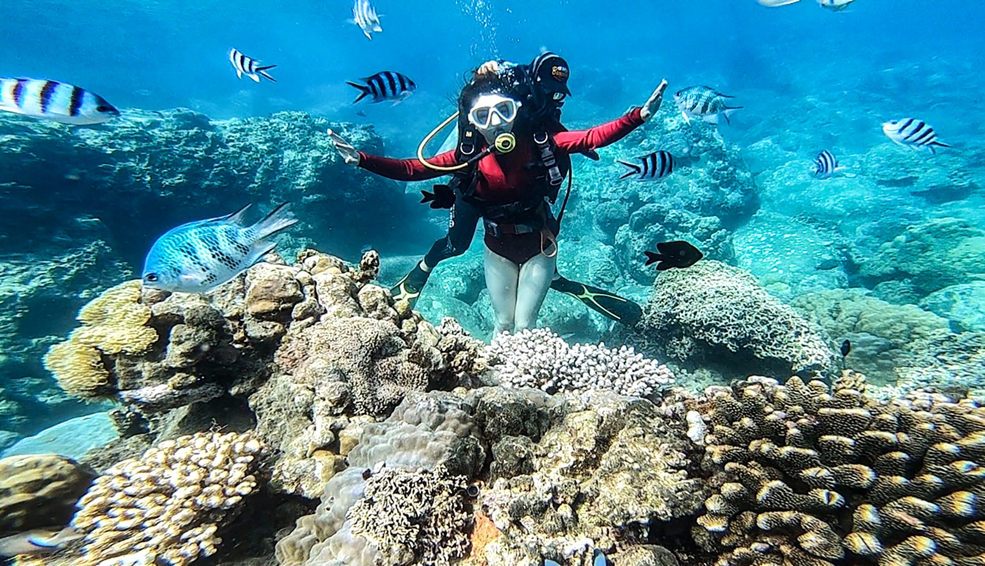 vinh Nha Trang anh 2