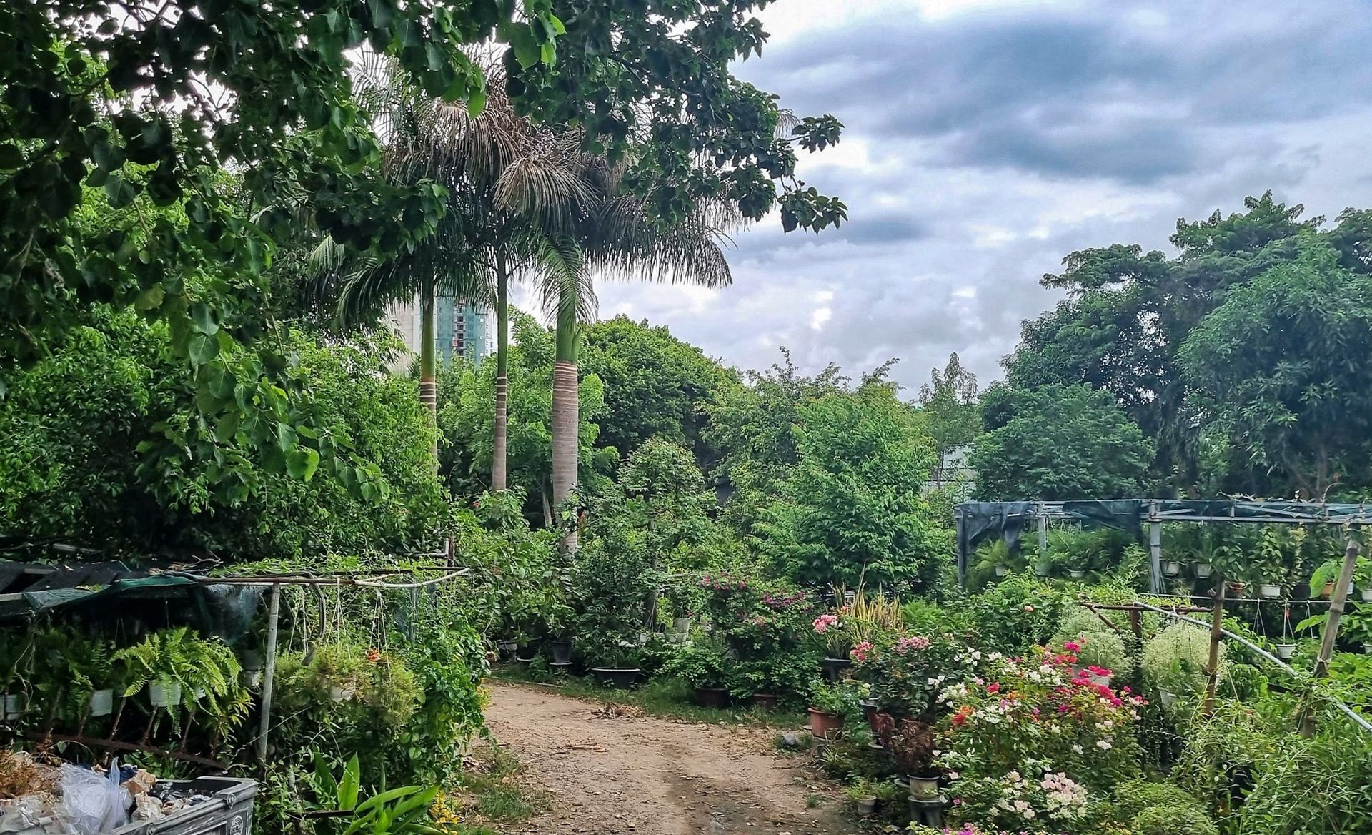 sai pham o san bay Nha Trang anh 10
