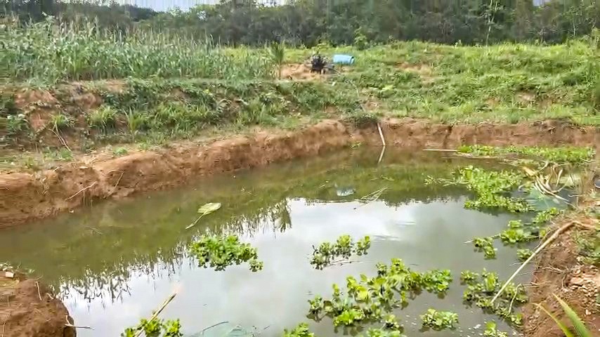 Be gai 8 tuoi tu vong khi theo ba ngoai vao ray choi hinh anh