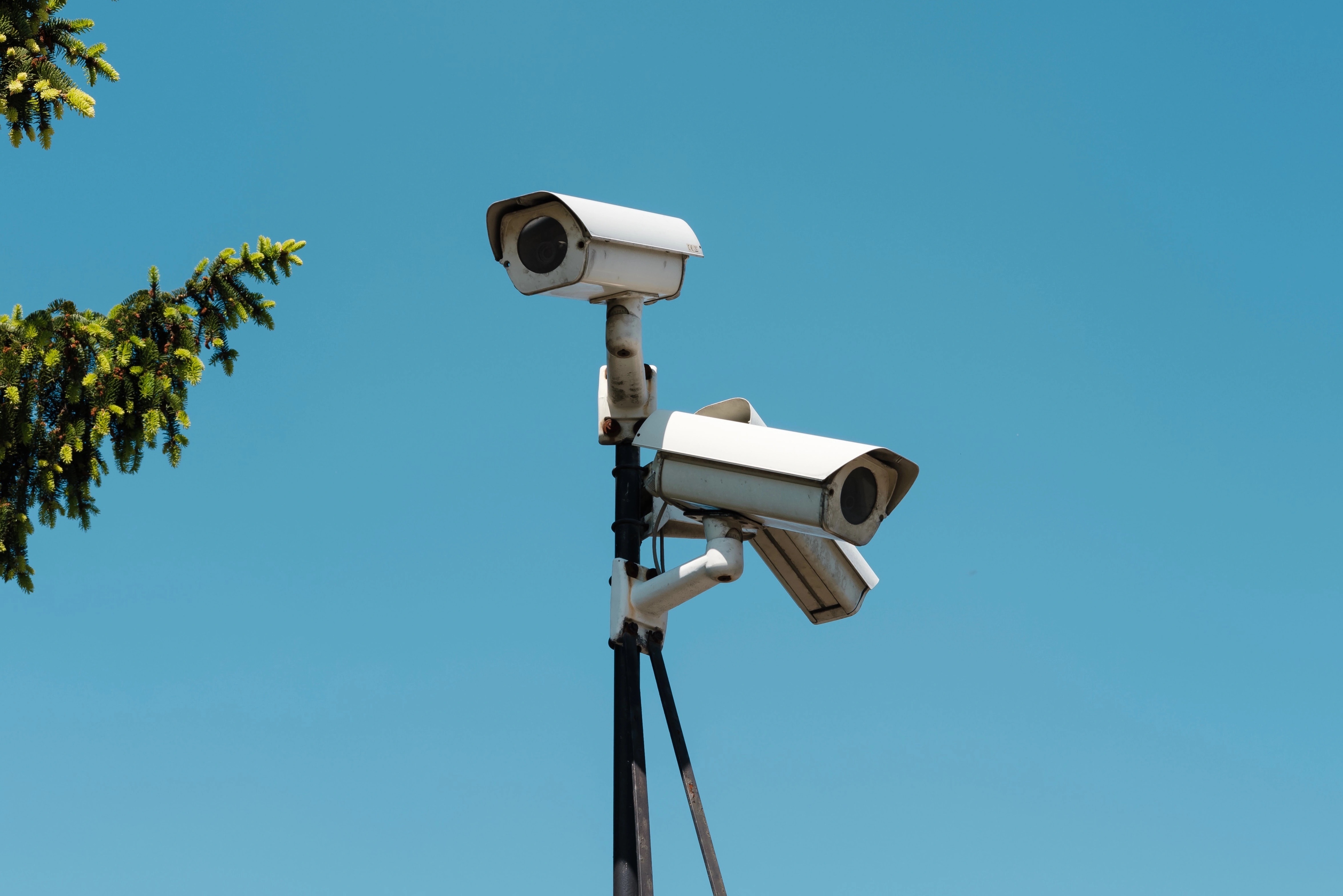 Kien nghi lap camera giam sat de bao ton san ho o vinh Nha Trang hinh anh