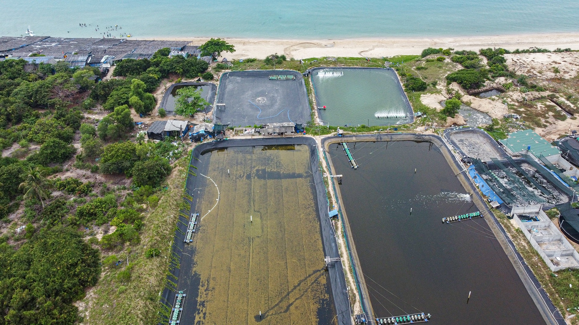 Nuoc thai gay o nhiem bien anh 8