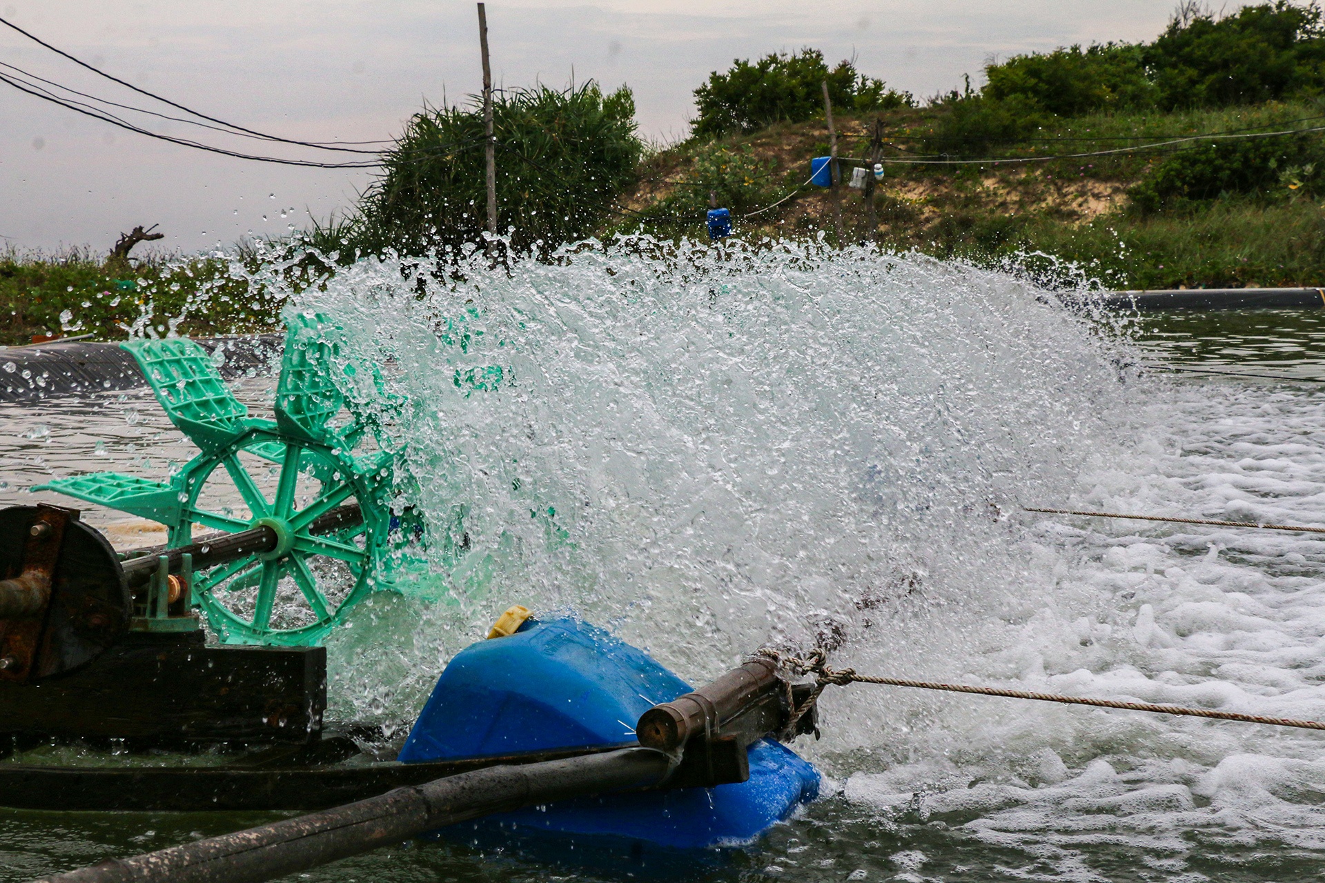 Nuoc thai gay o nhiem bien anh 3