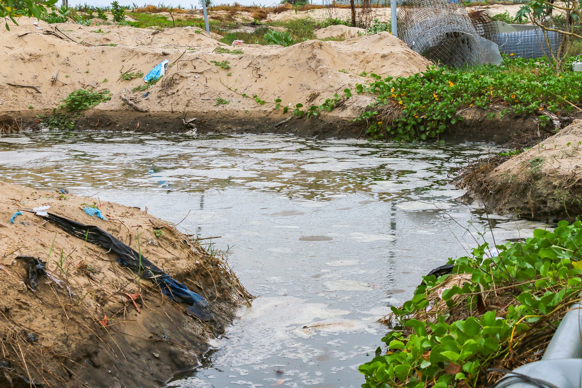 Nuoc thai gay o nhiem bien anh 9