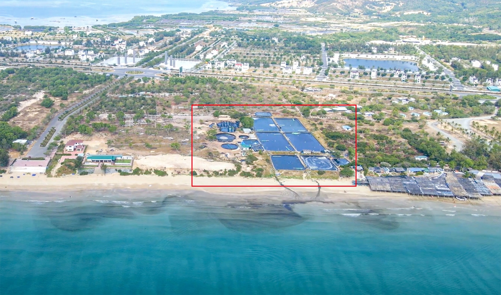 Trang trai nuoi tom xa thai, nuoc bien xanh biec nhuom mau den hinh anh