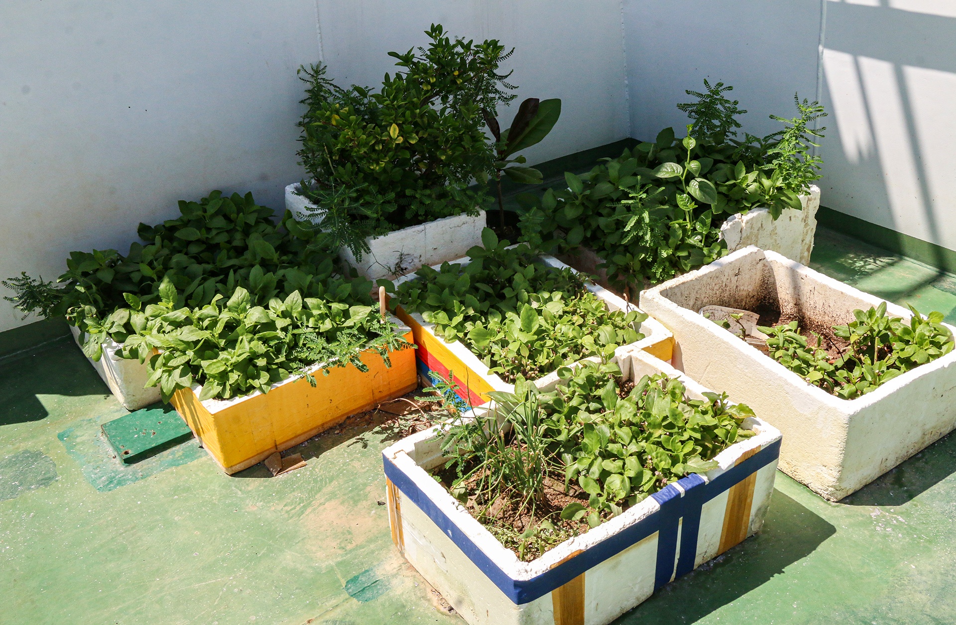 Can canh tau Canh sat bien 7011 anh 11