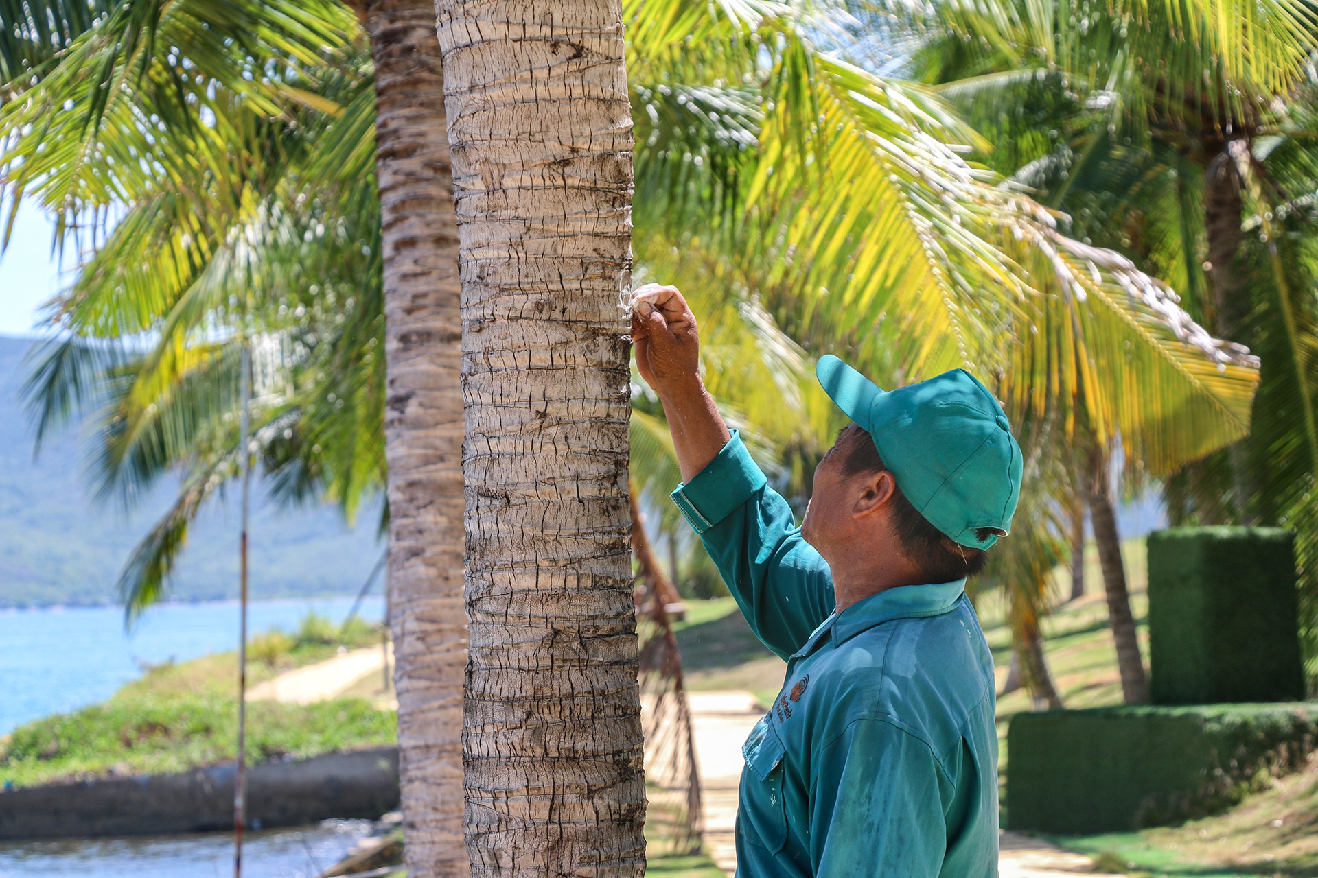 Du lich hon Tam anh 10