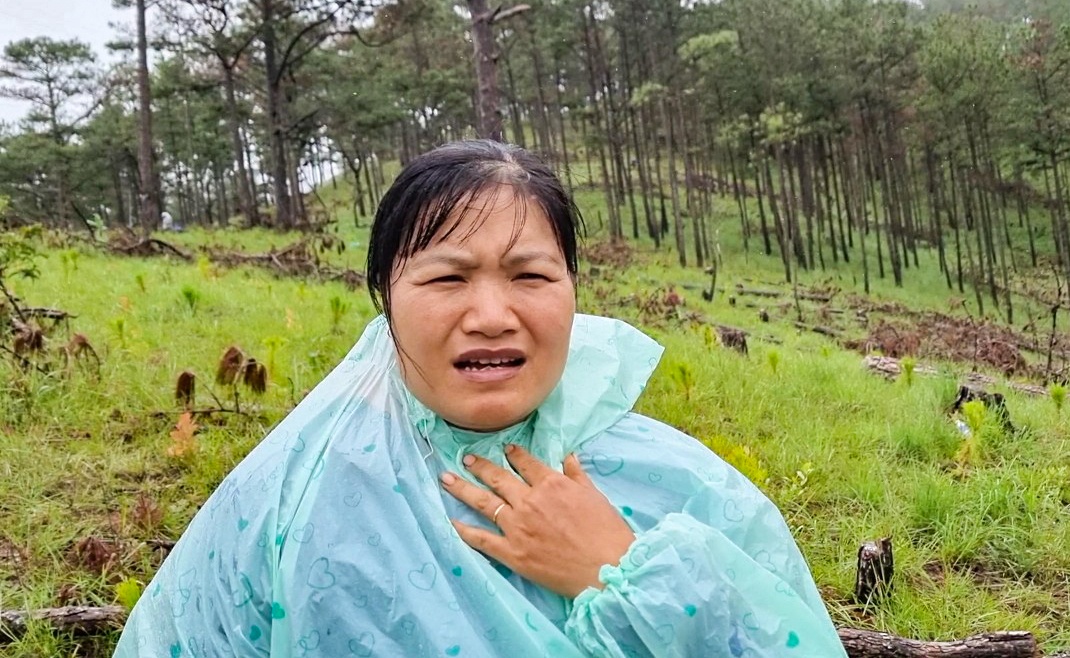 pha rung o Da Lat anh 1