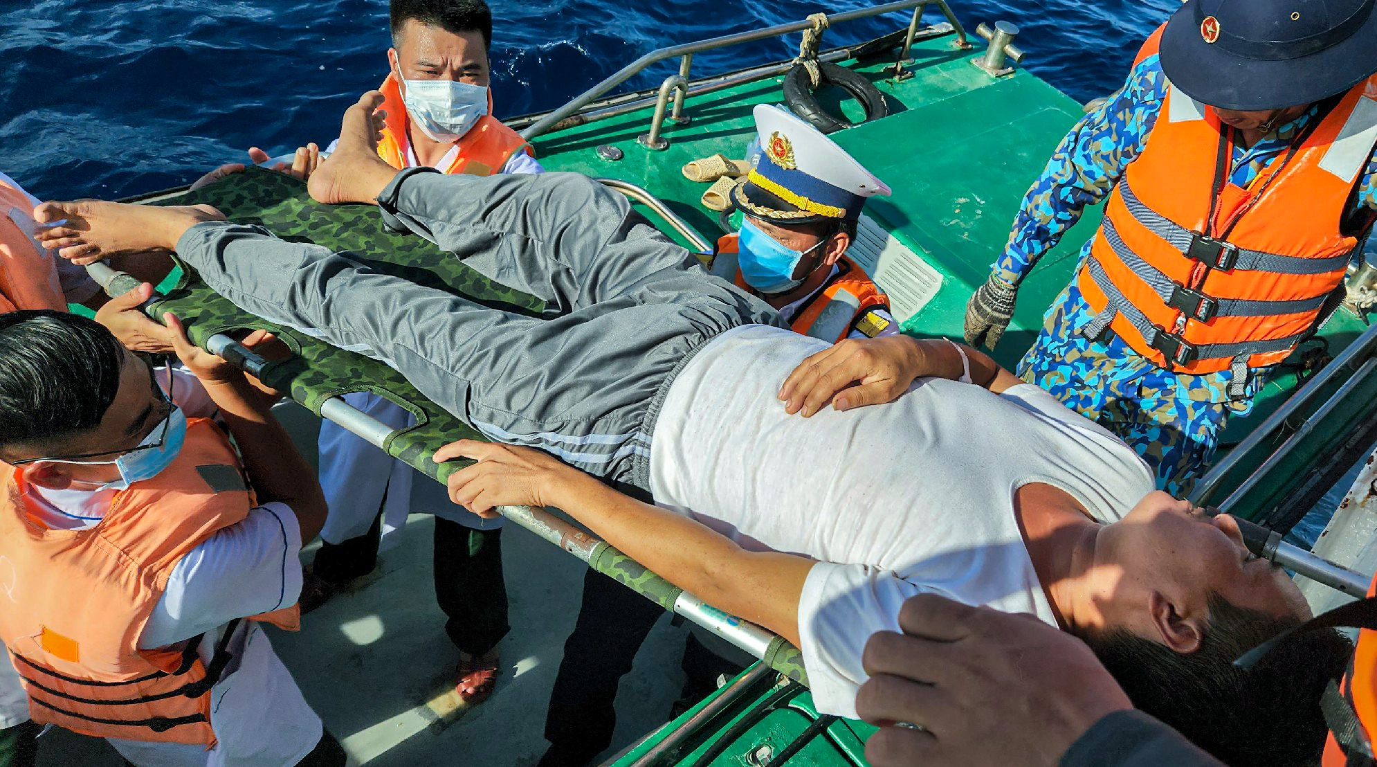 Dua ngu dan tu dao Son Ca ve bo tri benh hinh anh