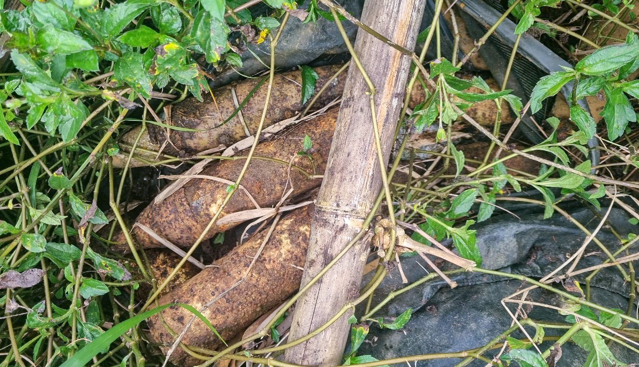 Phat hien 5 qua dan phao 105 ly o long ho thuy loi hinh anh