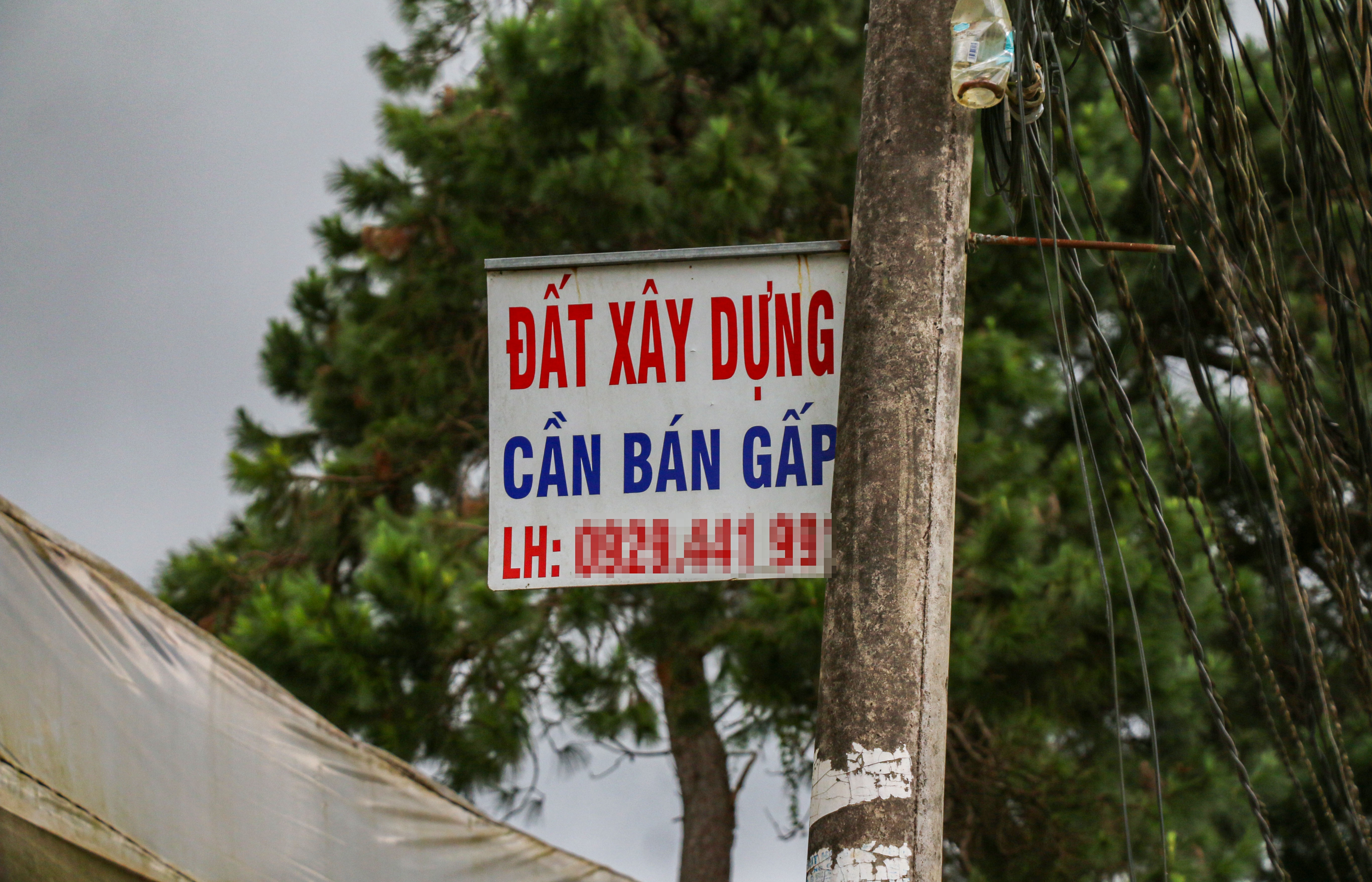 gia dat Da Lat anh 2