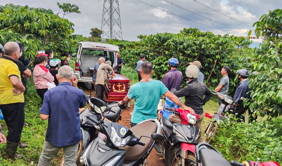 Thi the nguoi dan ong trong vuon ca phe hinh anh