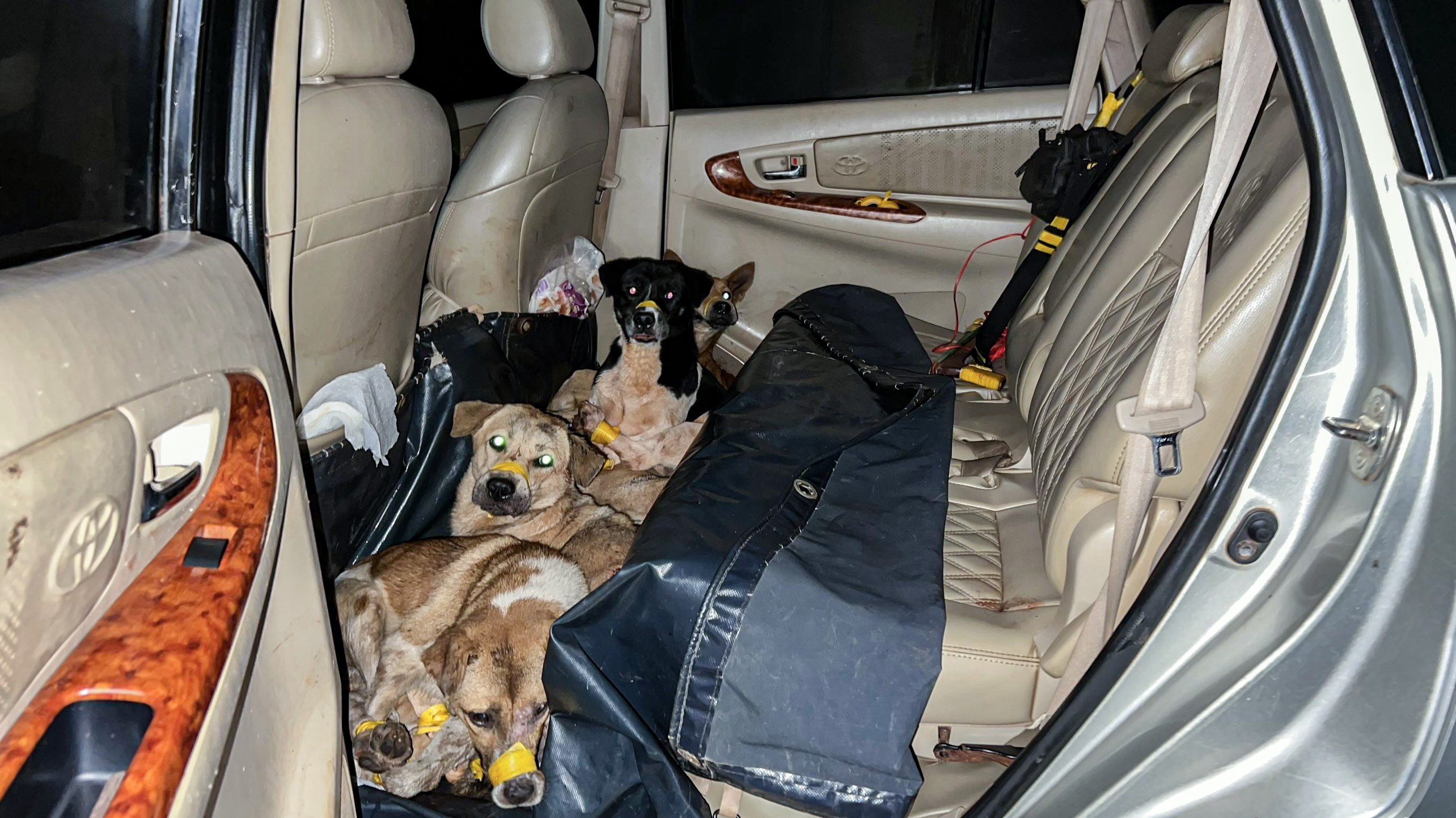 chuyen trom cho anh 1