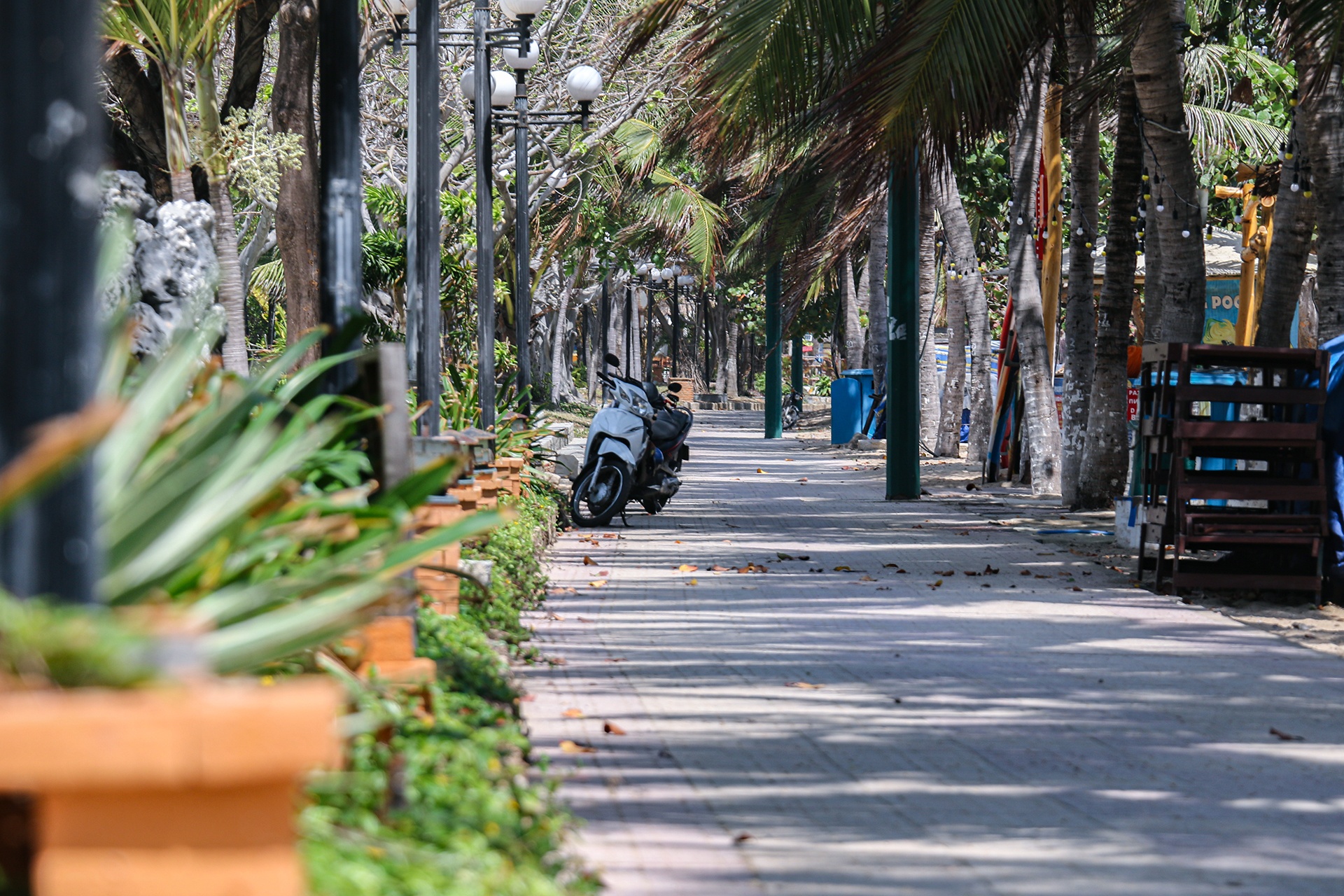 thu hoi cong vien anh 8