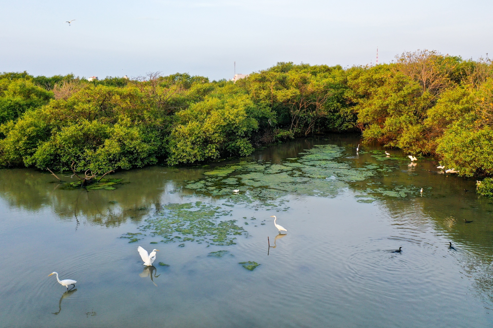 du an Phan Thiet anh 3