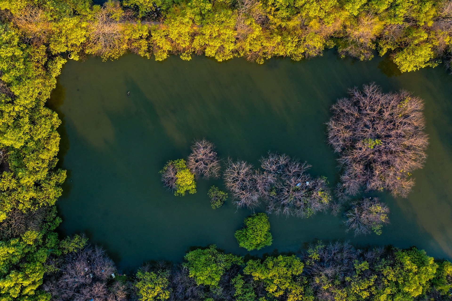 du an Phan Thiet anh 1