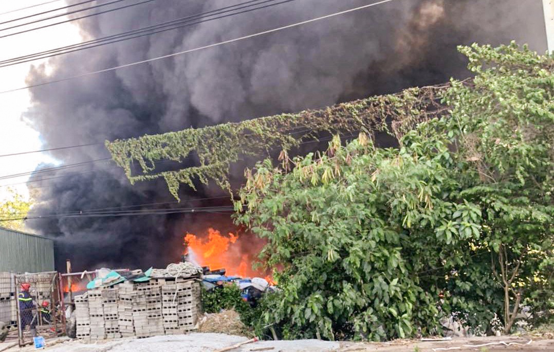 chay o Binh Phuoc anh 1