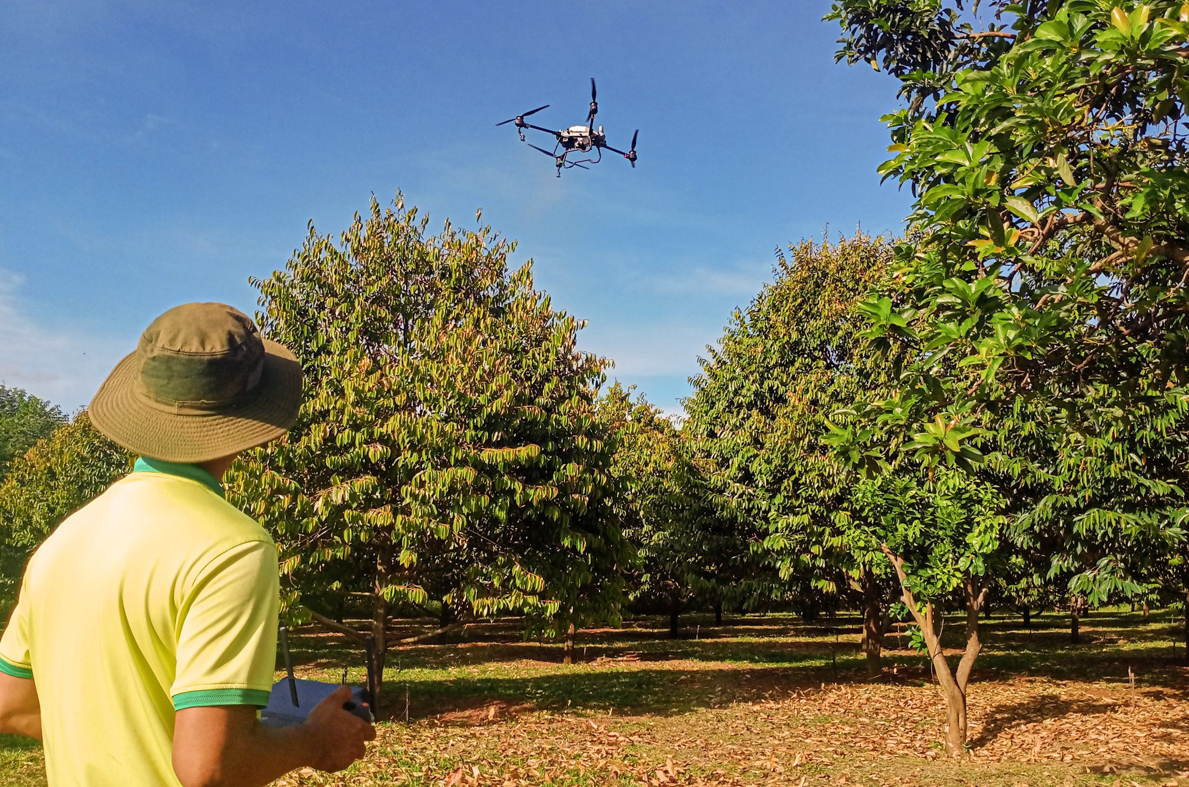 xuat khau sau rieng anh 1
