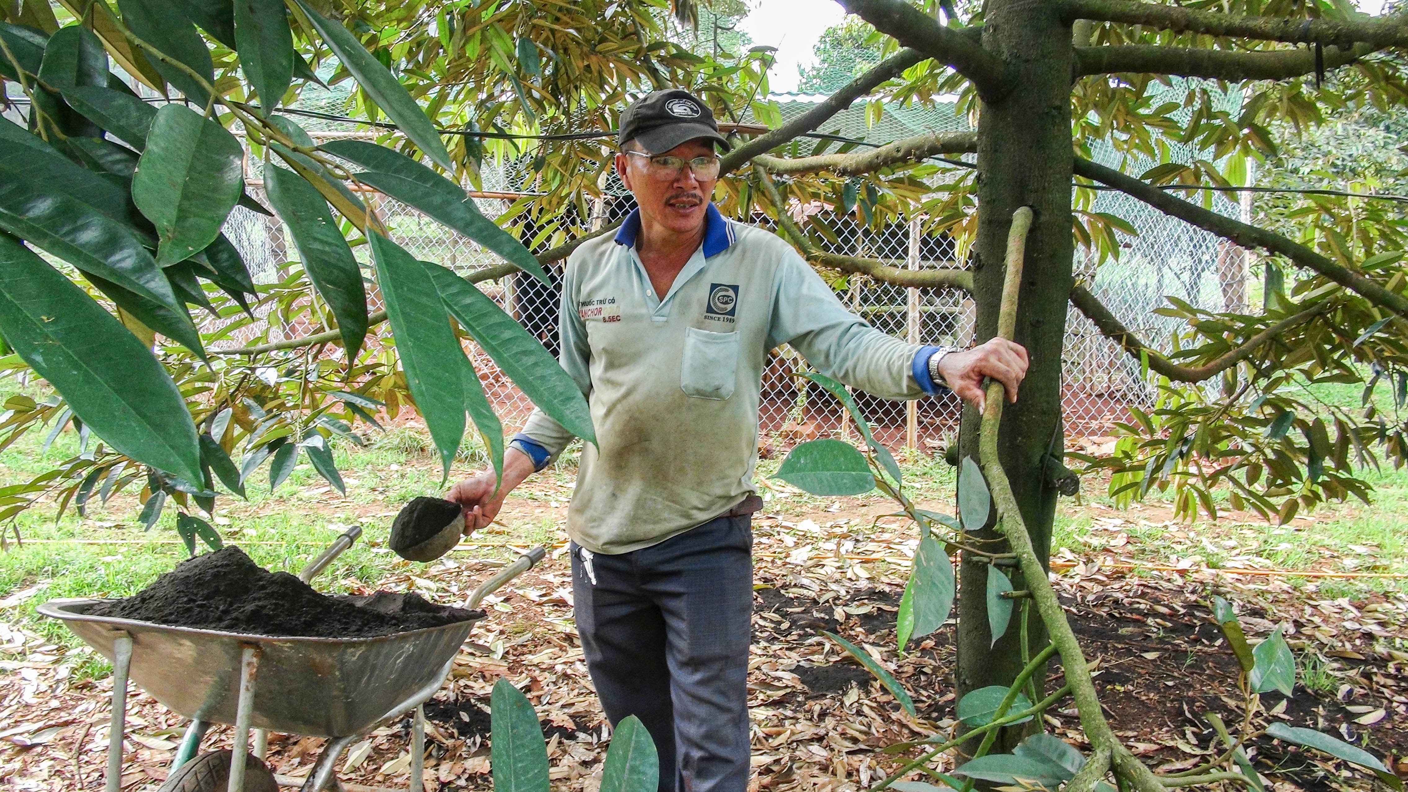 xuat khau sau rieng anh 2