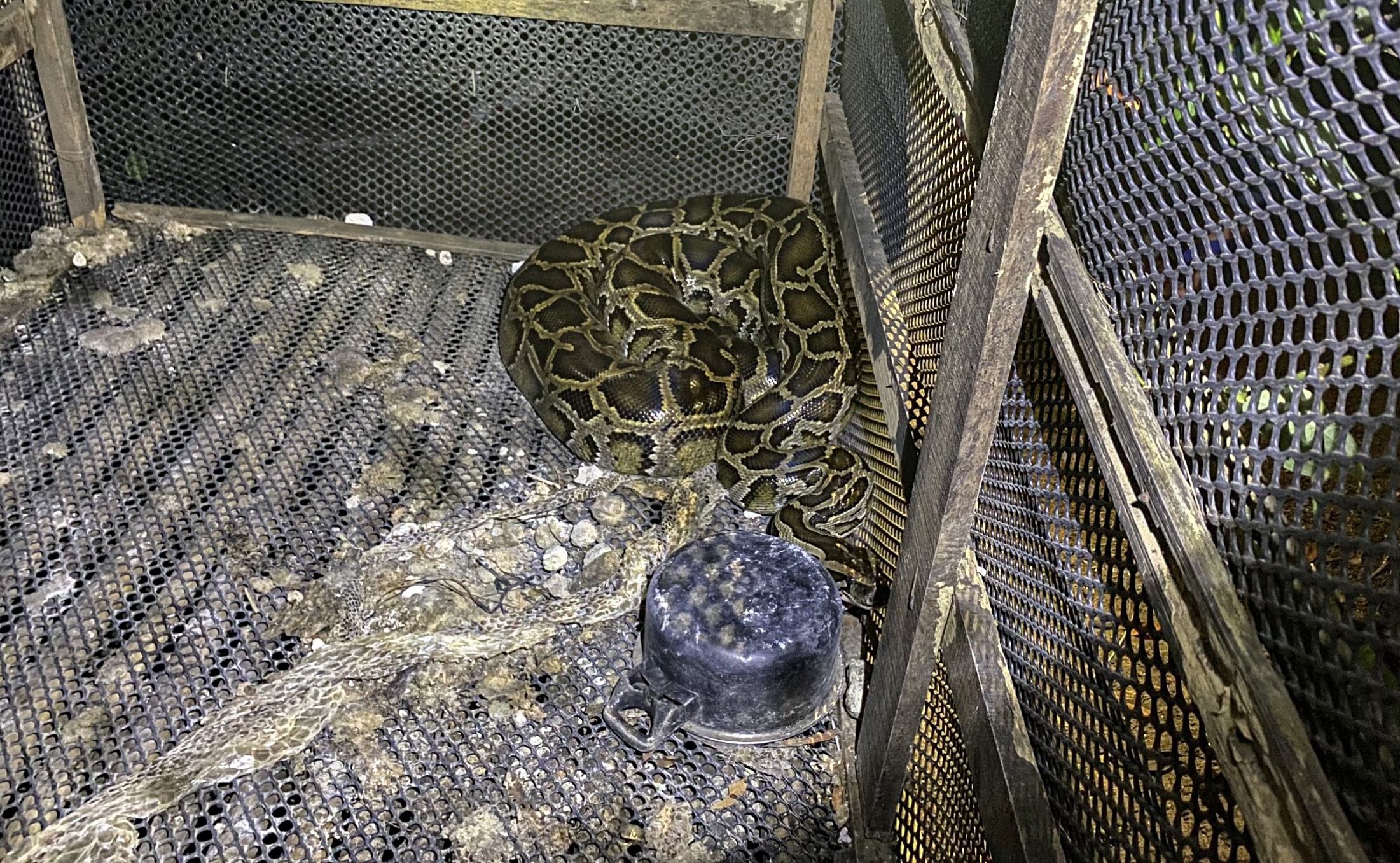 Nguoi dan ong bi tran siet co tu vong hinh anh