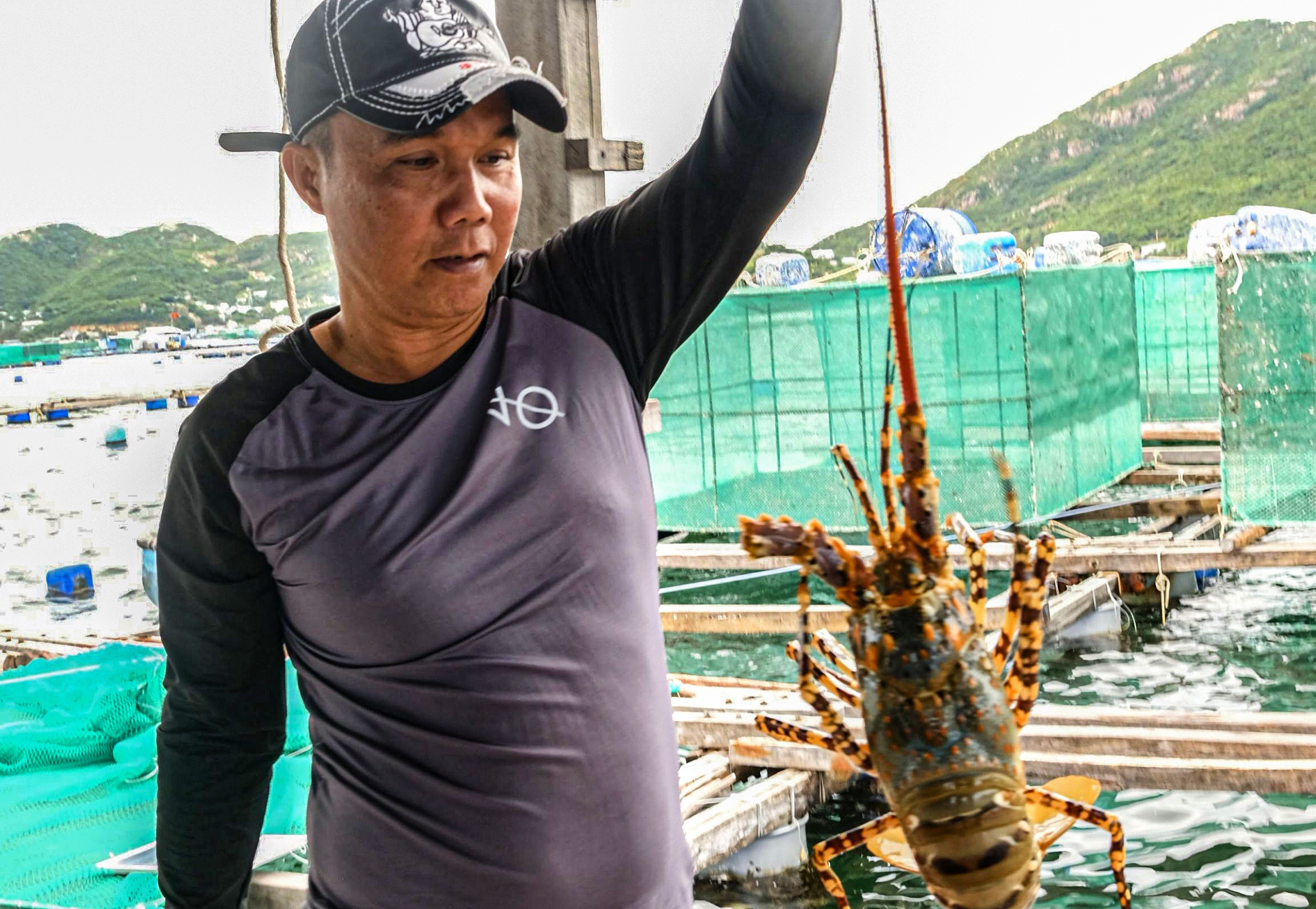 Nha giau Trung Quoc tieu thu manh tom hum Viet Nam hinh anh