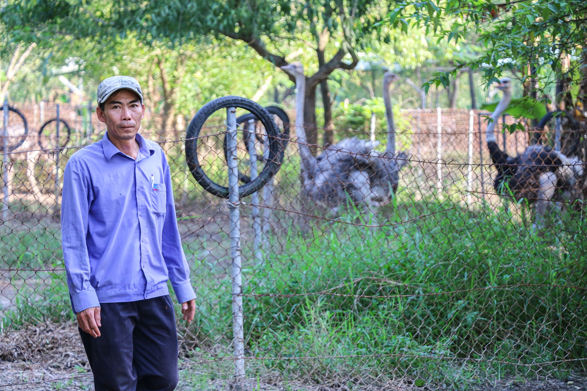 nuoi da dieu thit anh 13